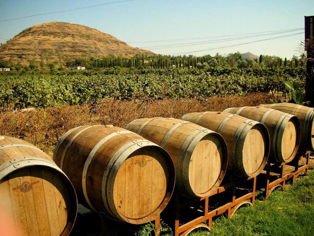 The Best Vineyards and Wineries to Visit in India