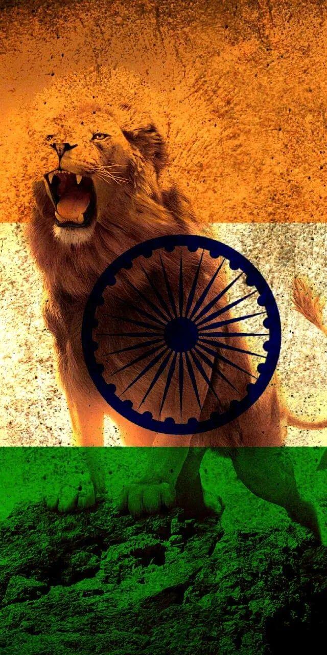 Beautiful Indian Flag Newest Wallpaper Collection in 2019