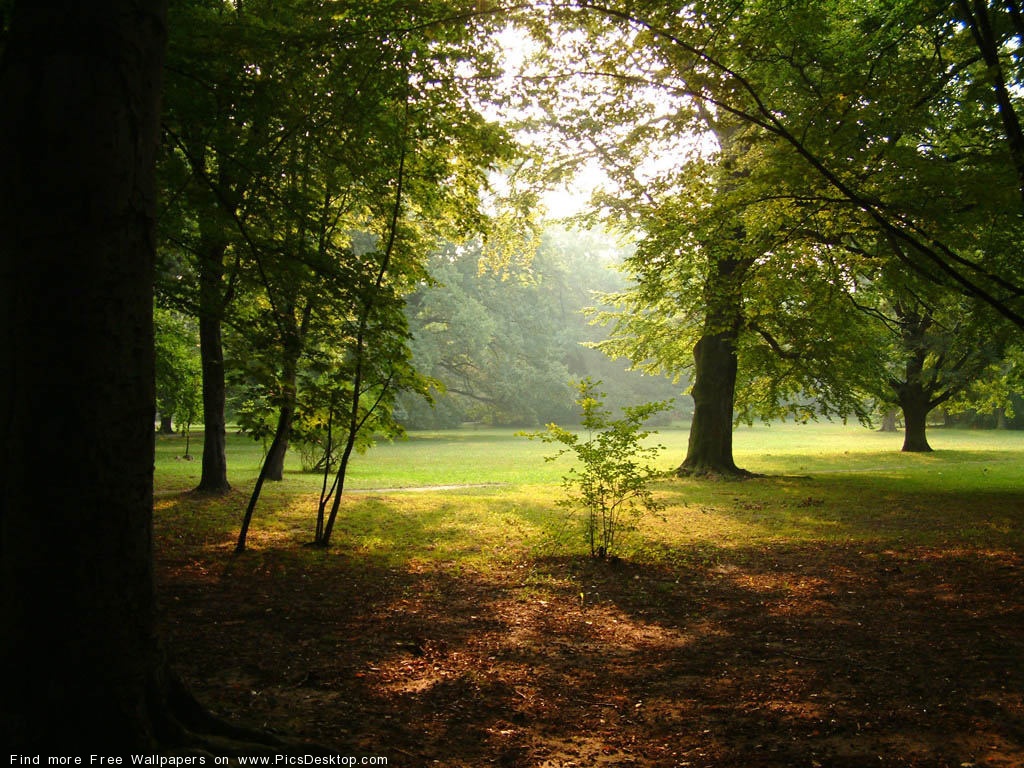 Nature Desktop Wallpaper pics