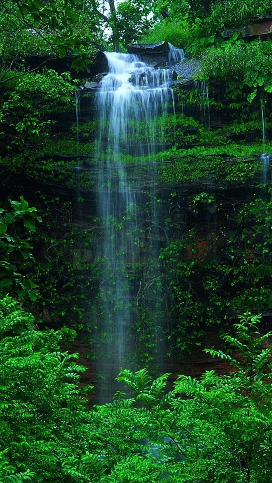 Nature Forest Waterfall iPhone 6 wallpaper. Waterfall