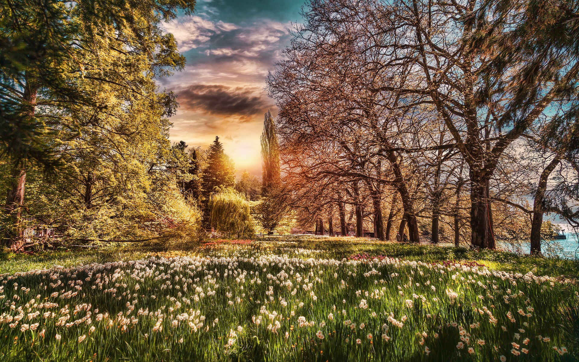 Download wallpaper Lake Constance, Bodensee, spring