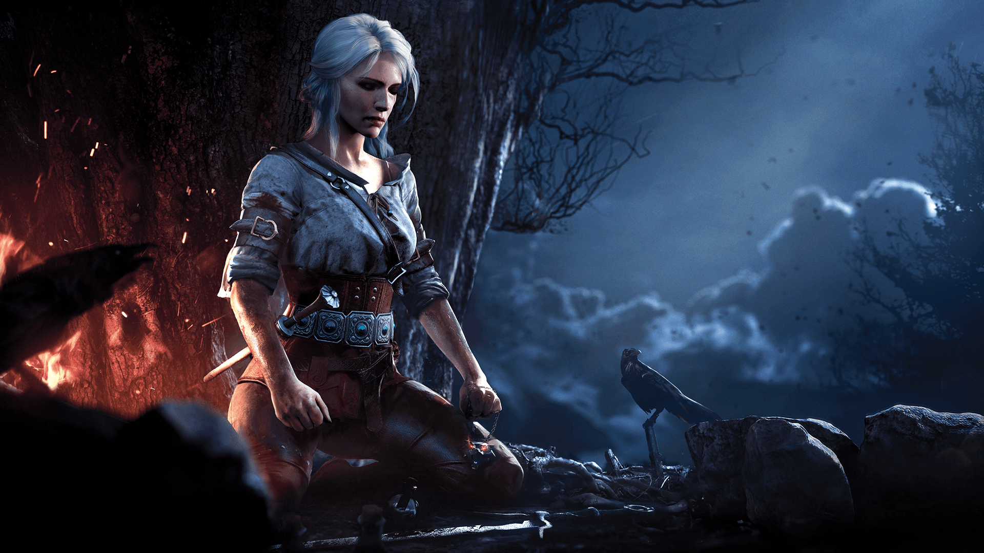 Ciri meditating wallpaper. The witcher The witcher