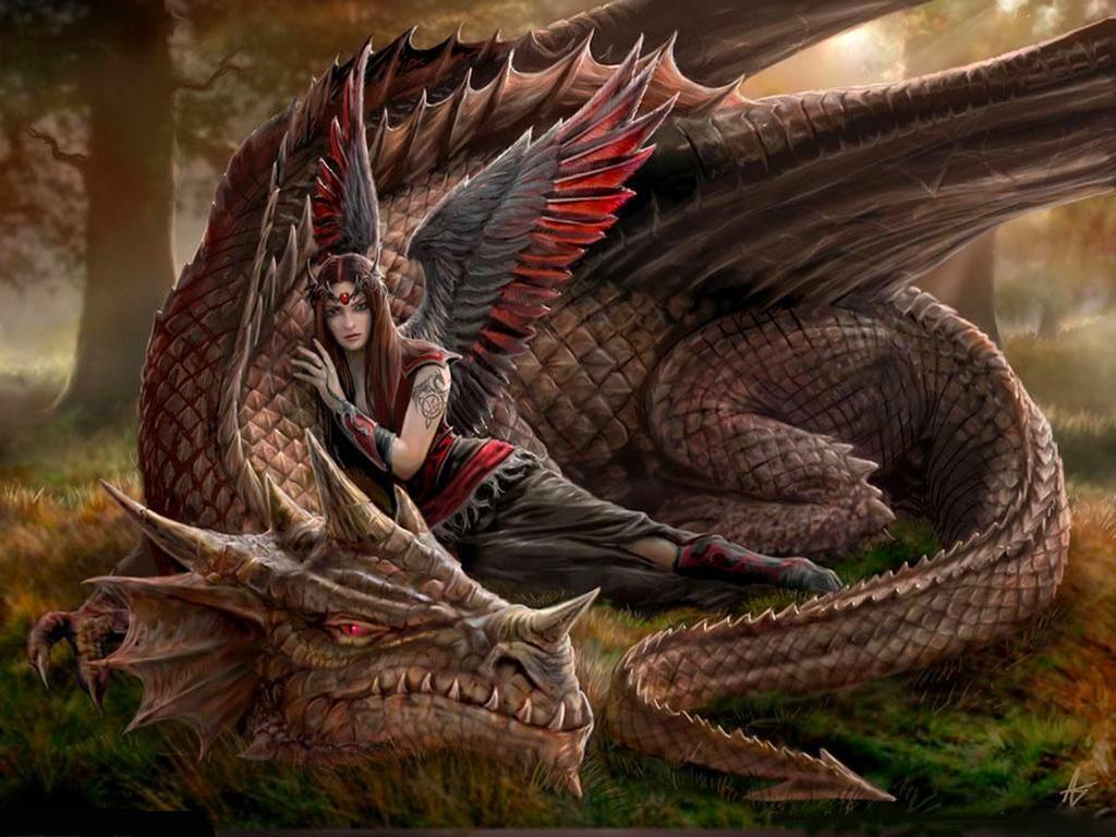 Fairy Background Wallpaper: 3D Beauty Fairy and Dragon