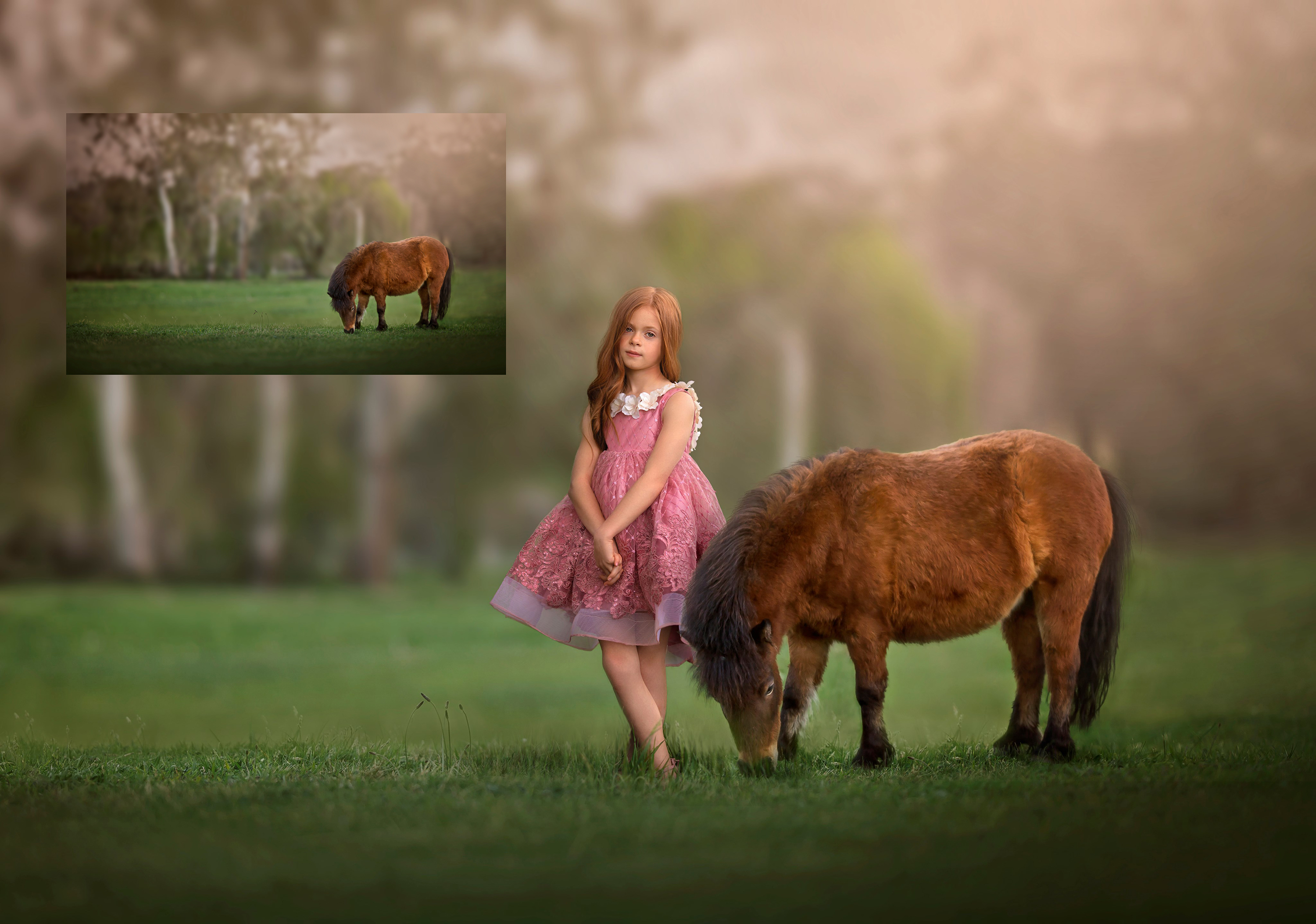 Equine Dreams & Horse Digital Background Collection