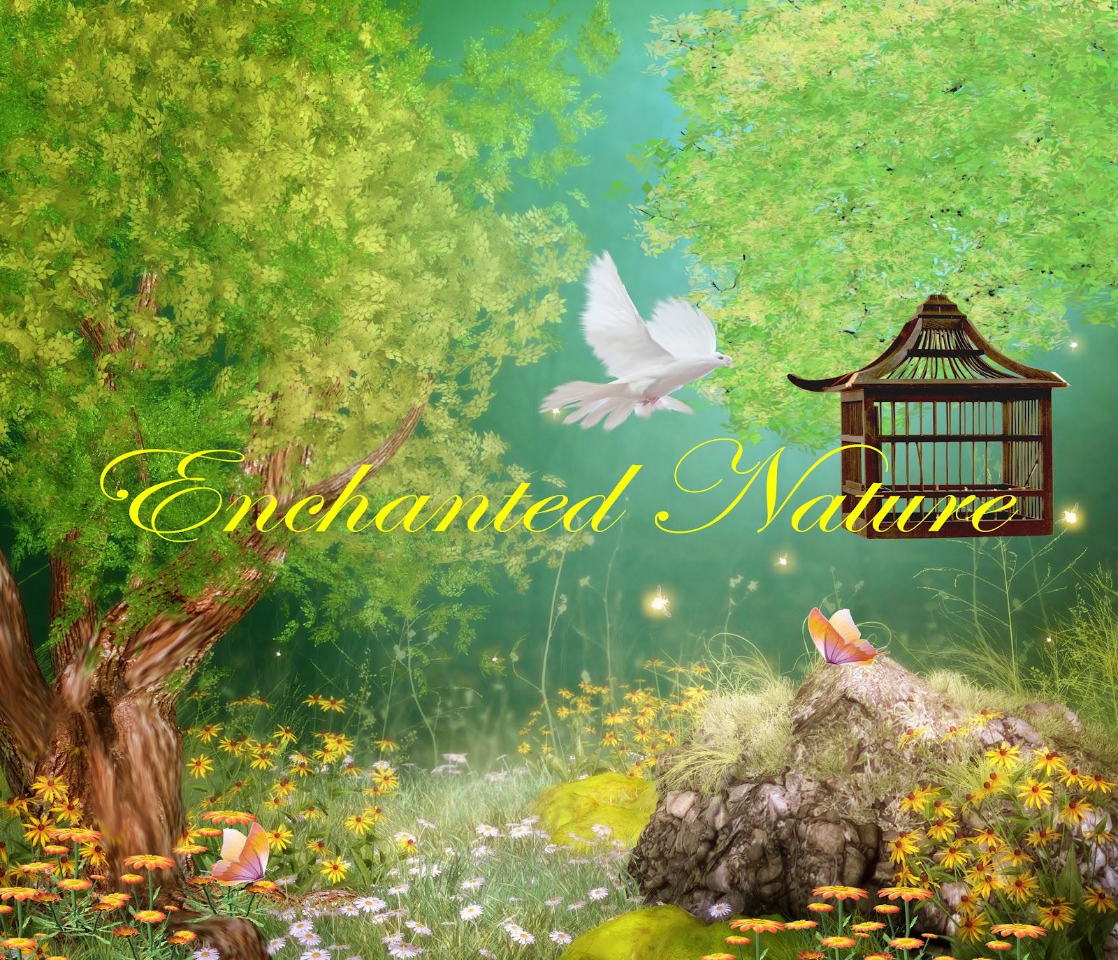 fantasybackgroundbykayshalady: Enchanted Nature fantasy