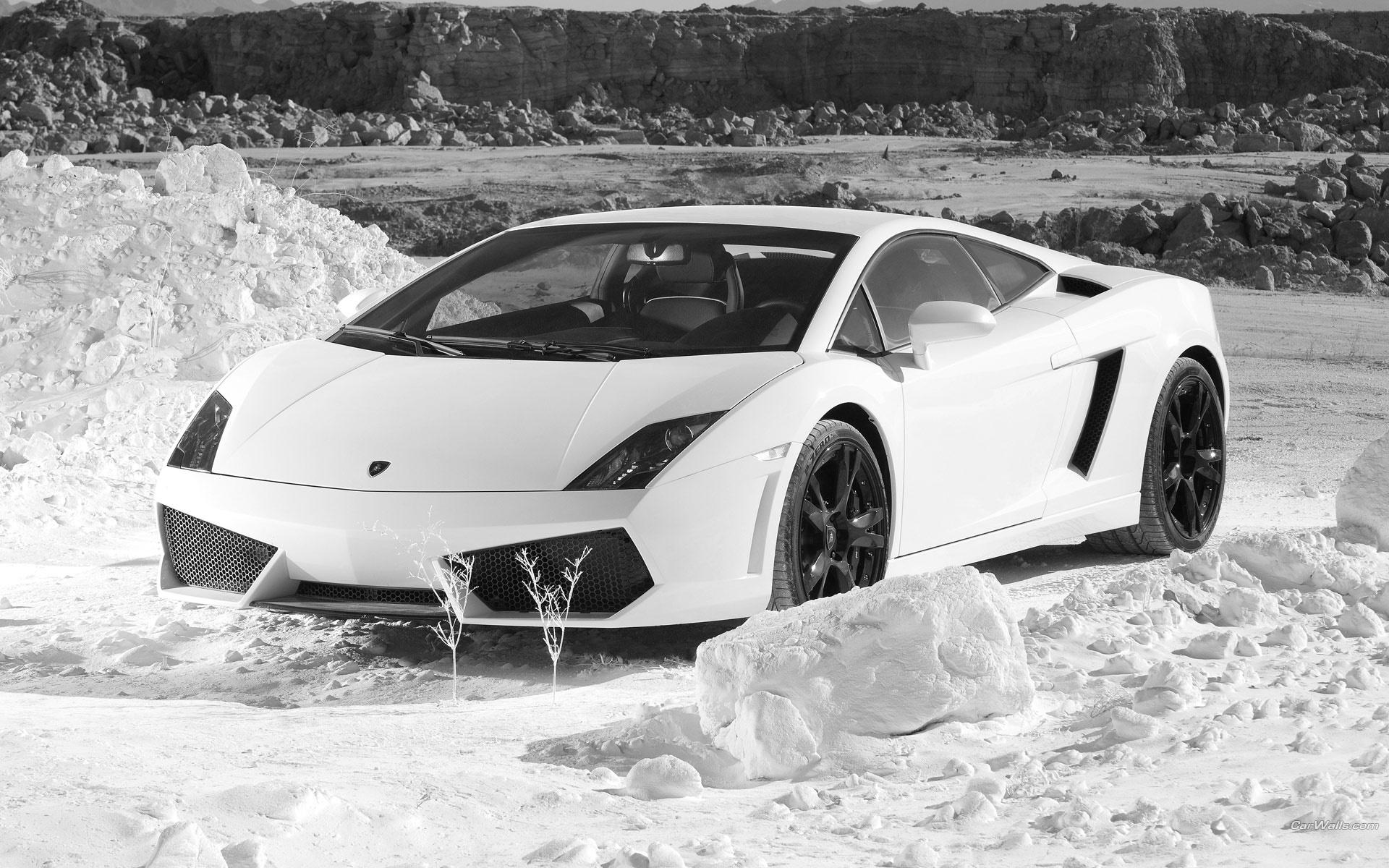 White Lamborghini Wallpaper Wallpaper
