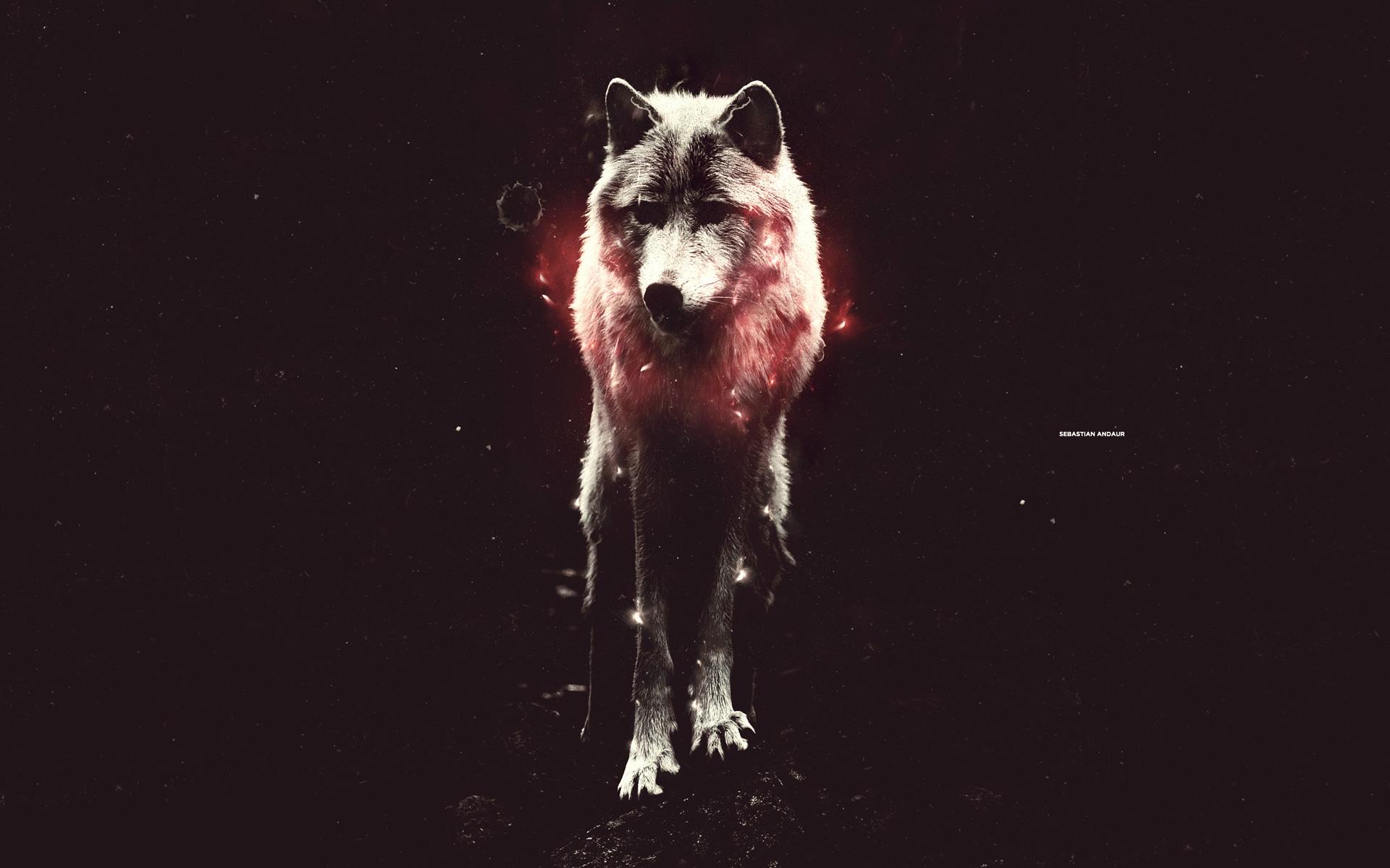 wolf gang tumblr backgrounds