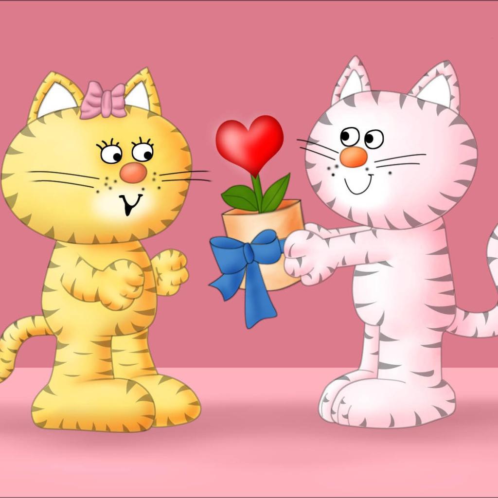 Cat love on Valentine's Day February 14 Desktop wallpaper