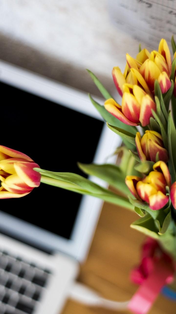 Flowers at the Office Desktop and Mobile Wallpaper 720x1280