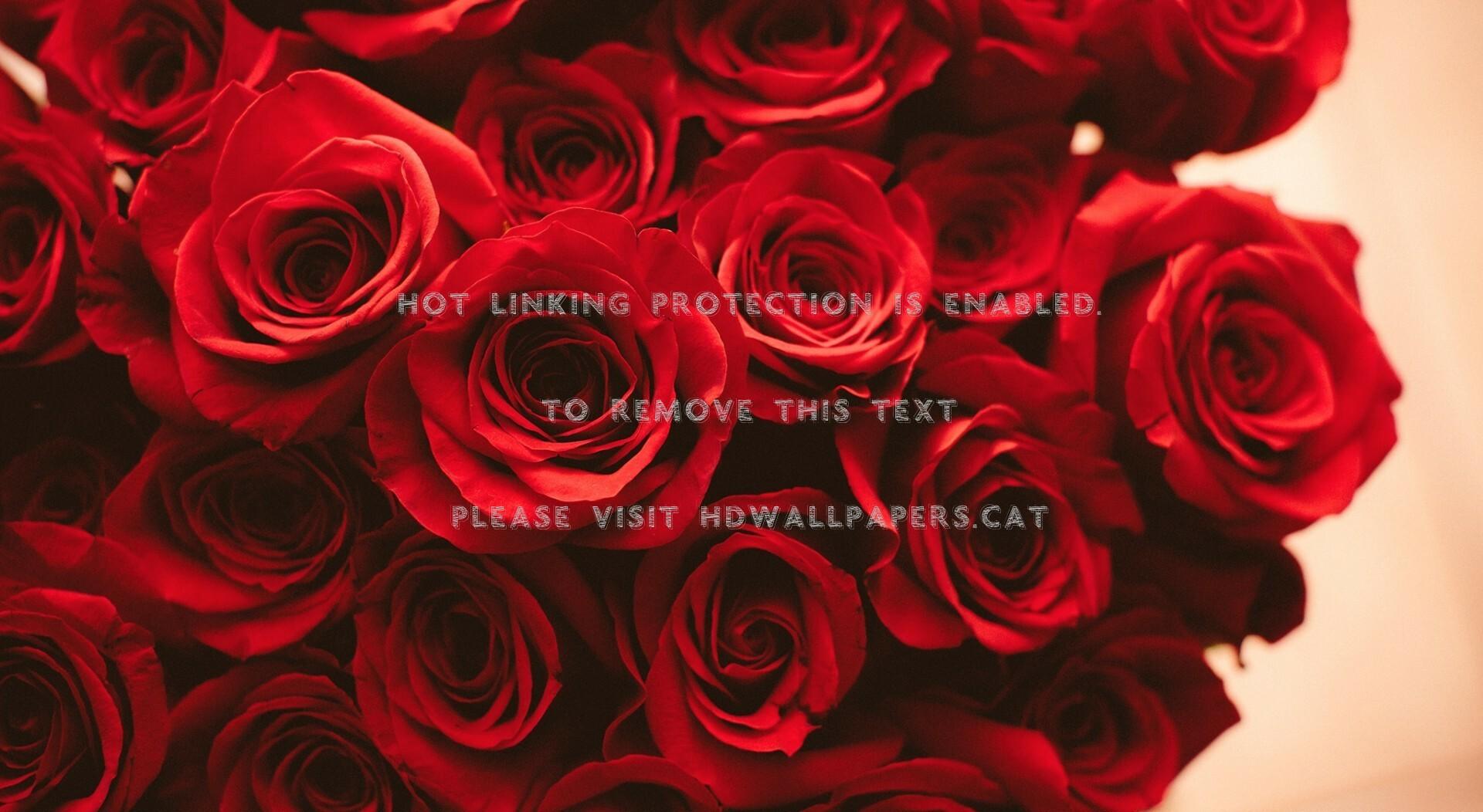 Red Roses Bouquet Petals Flowers Wallpaper Aesthetic