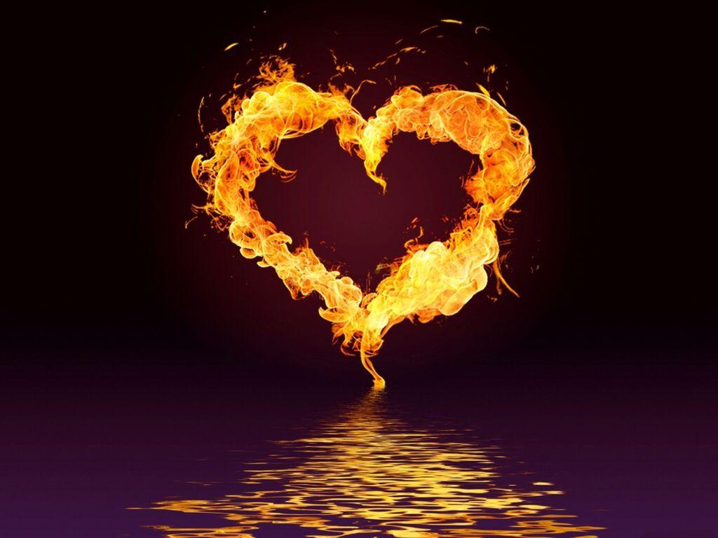 Fire heart. Fire heart, Heart wallpaper, Heart in nature