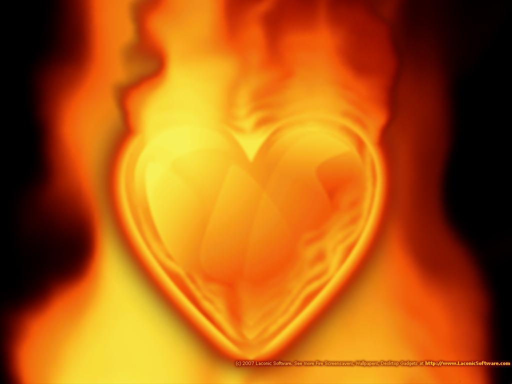 Heart On Fire Wallpaper Nature Wallpaper