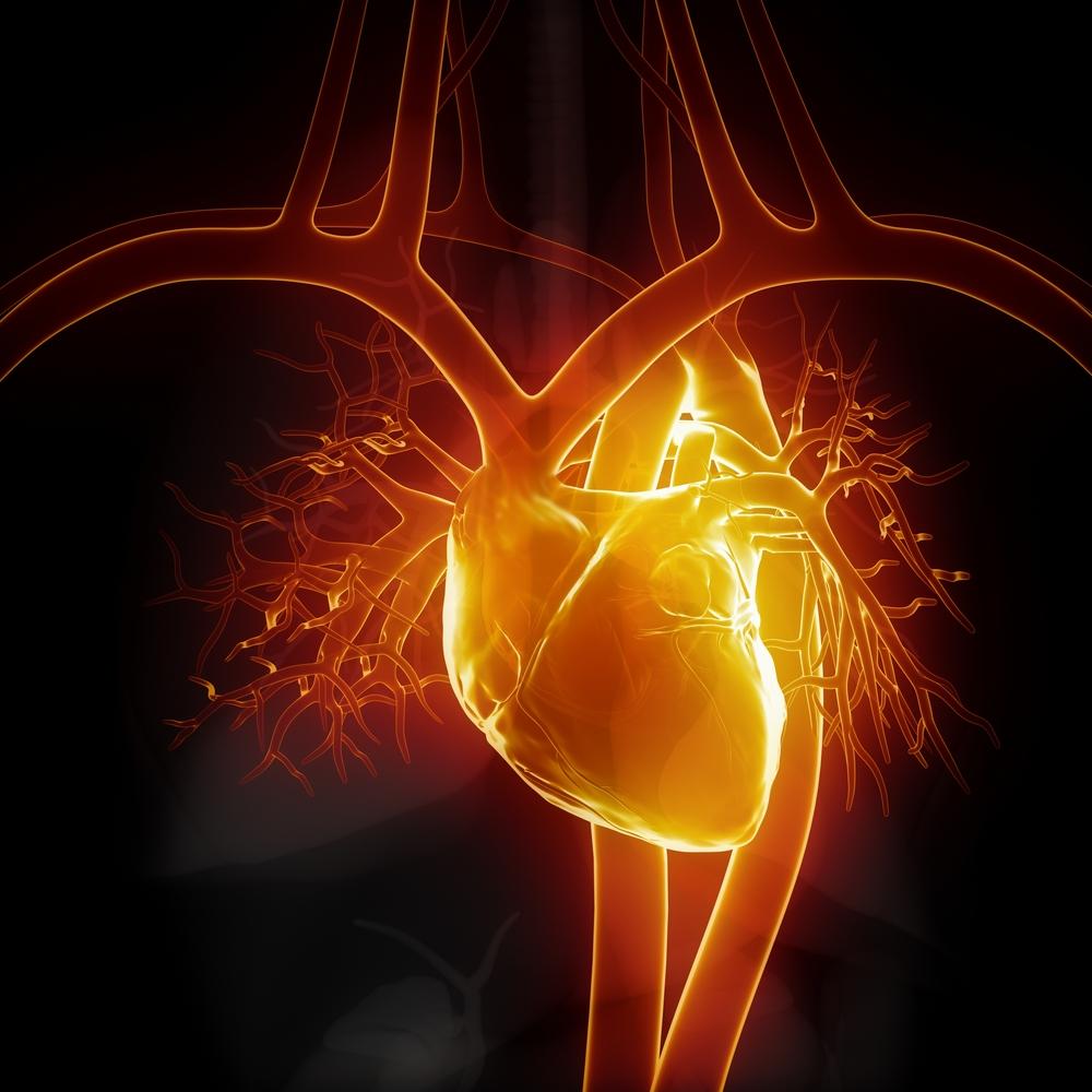 Koroner Kalp Hastalığında Tedavi Stratejisi Heart On
