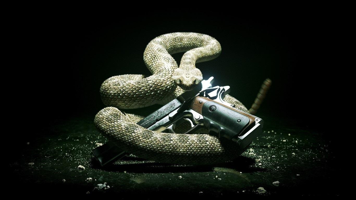 Snake And Gun Free Hd Wallpaper For Desktop