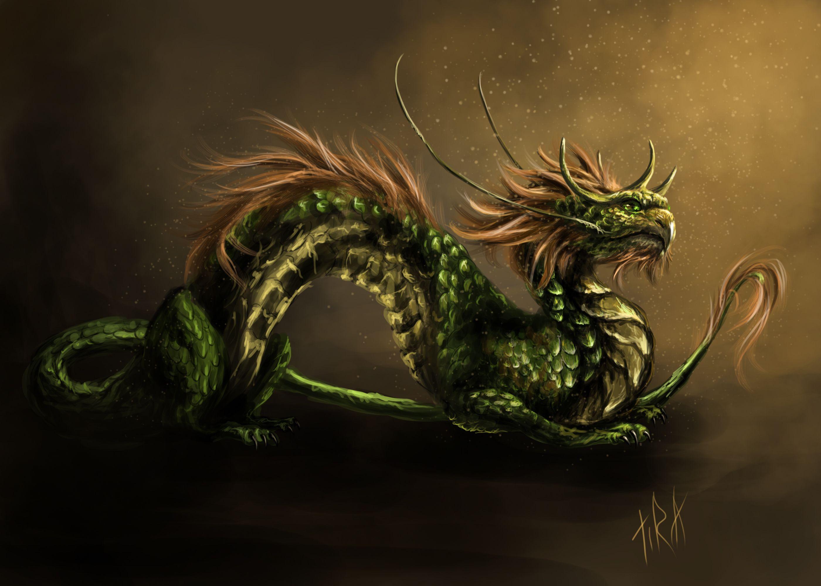 Serpent Dragon Wallpaper Free Serpent Dragon Background