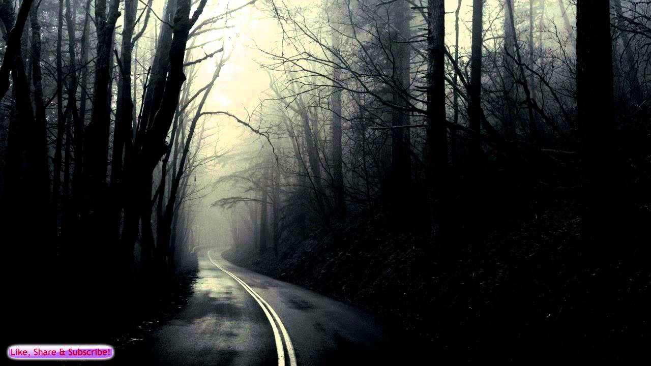 Ambient Creepy Music. Roadk Forest. Sad & Somber Background Music