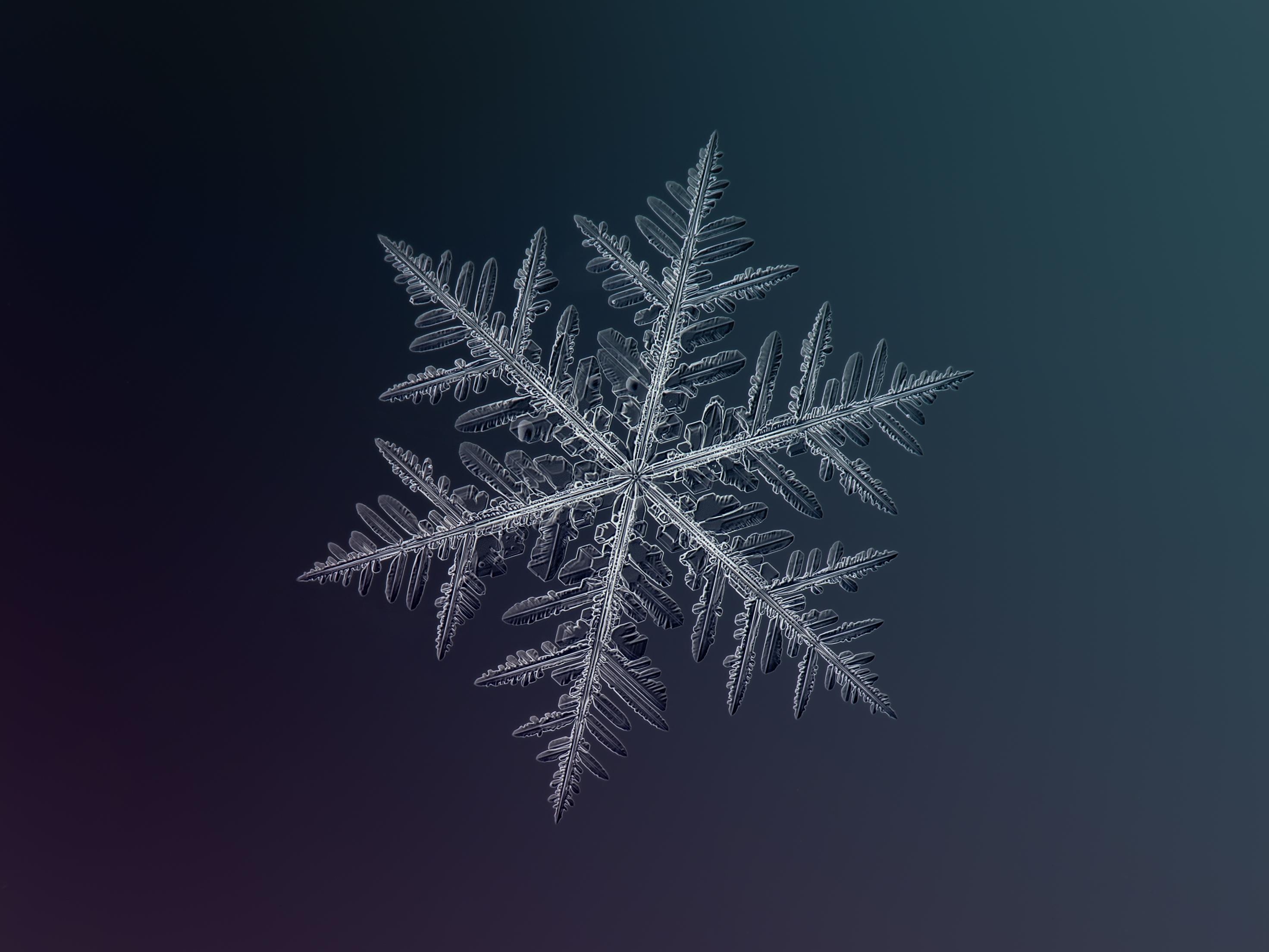 stunning snowflake photo you won't believe were taken