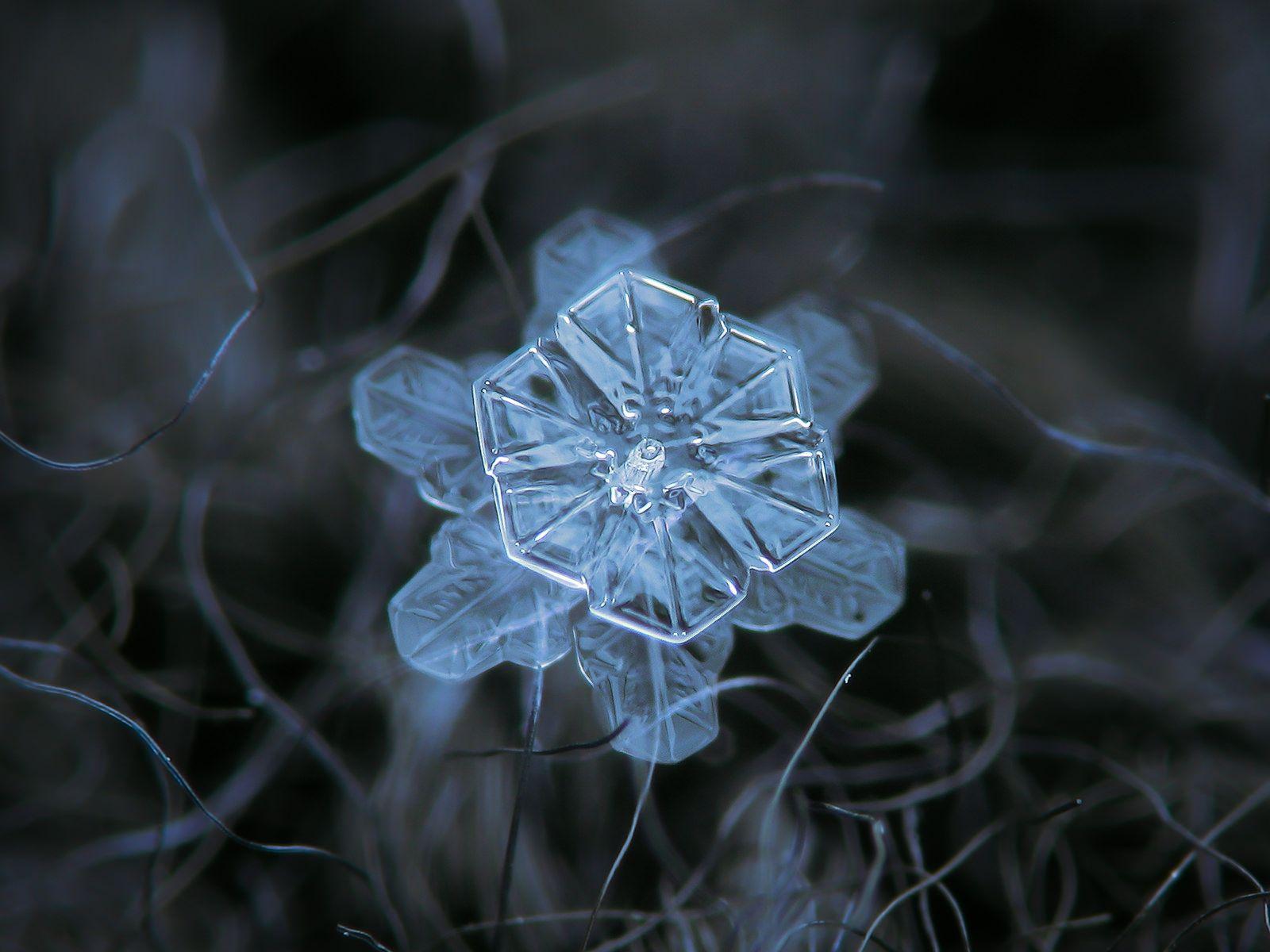 Picture. Snowflake picture