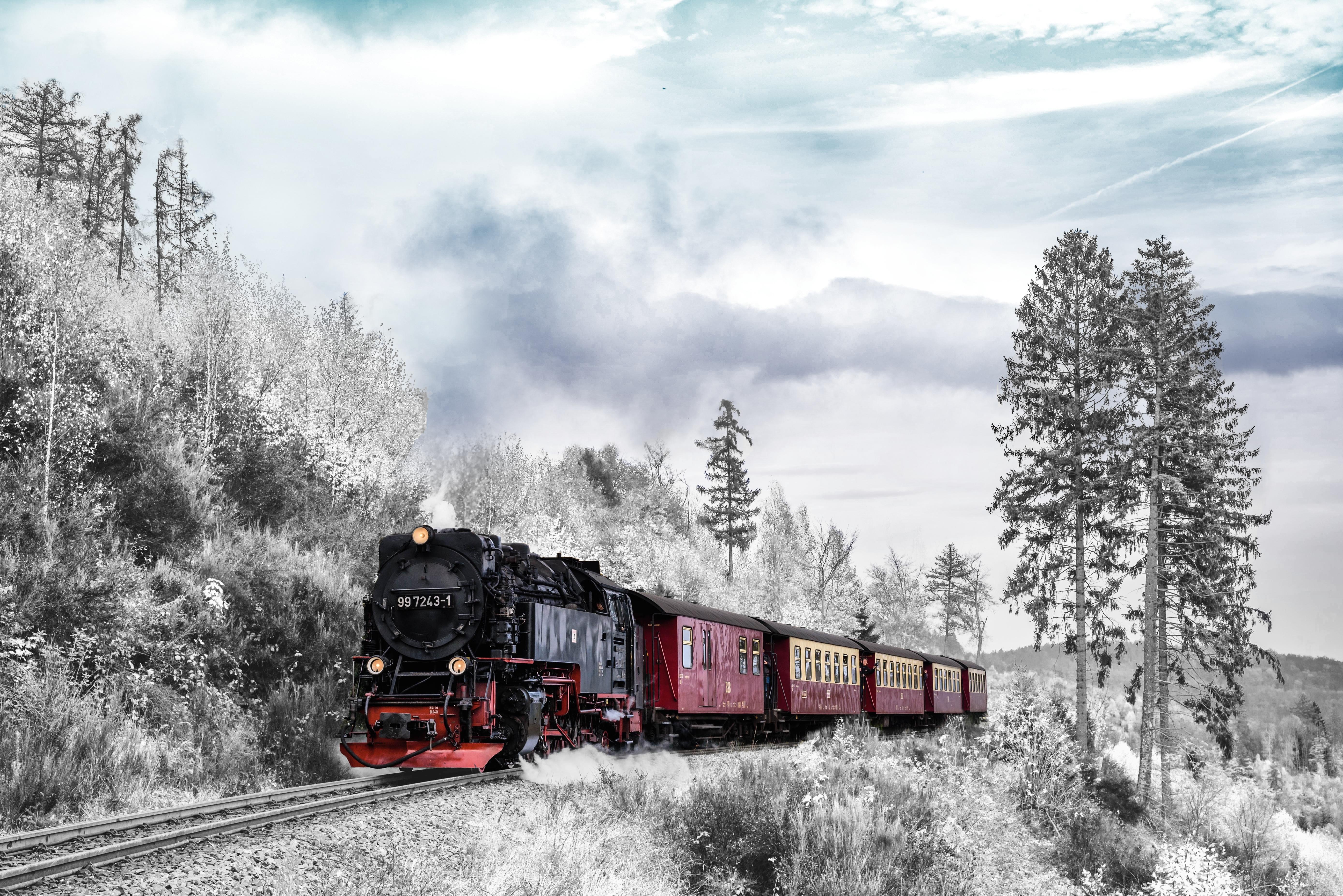 Download wallpaper 5556x3709 train, forest, winter, railway