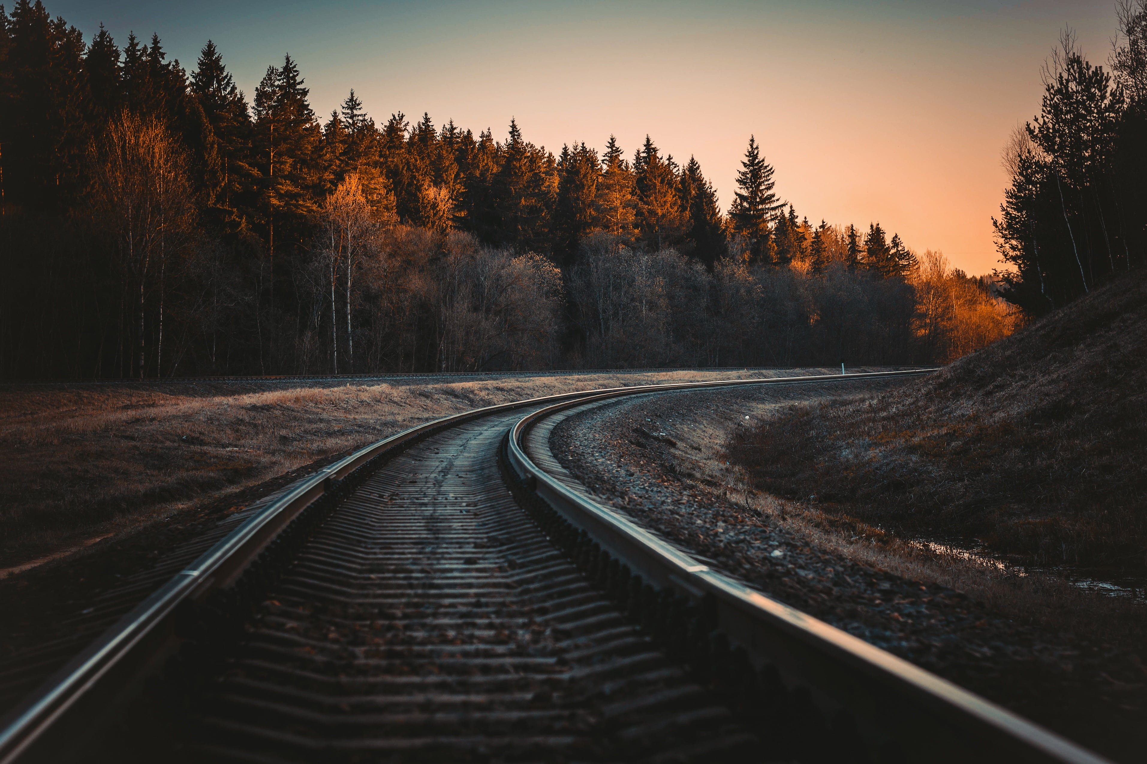 Black train railings, railway, railroad track, forest