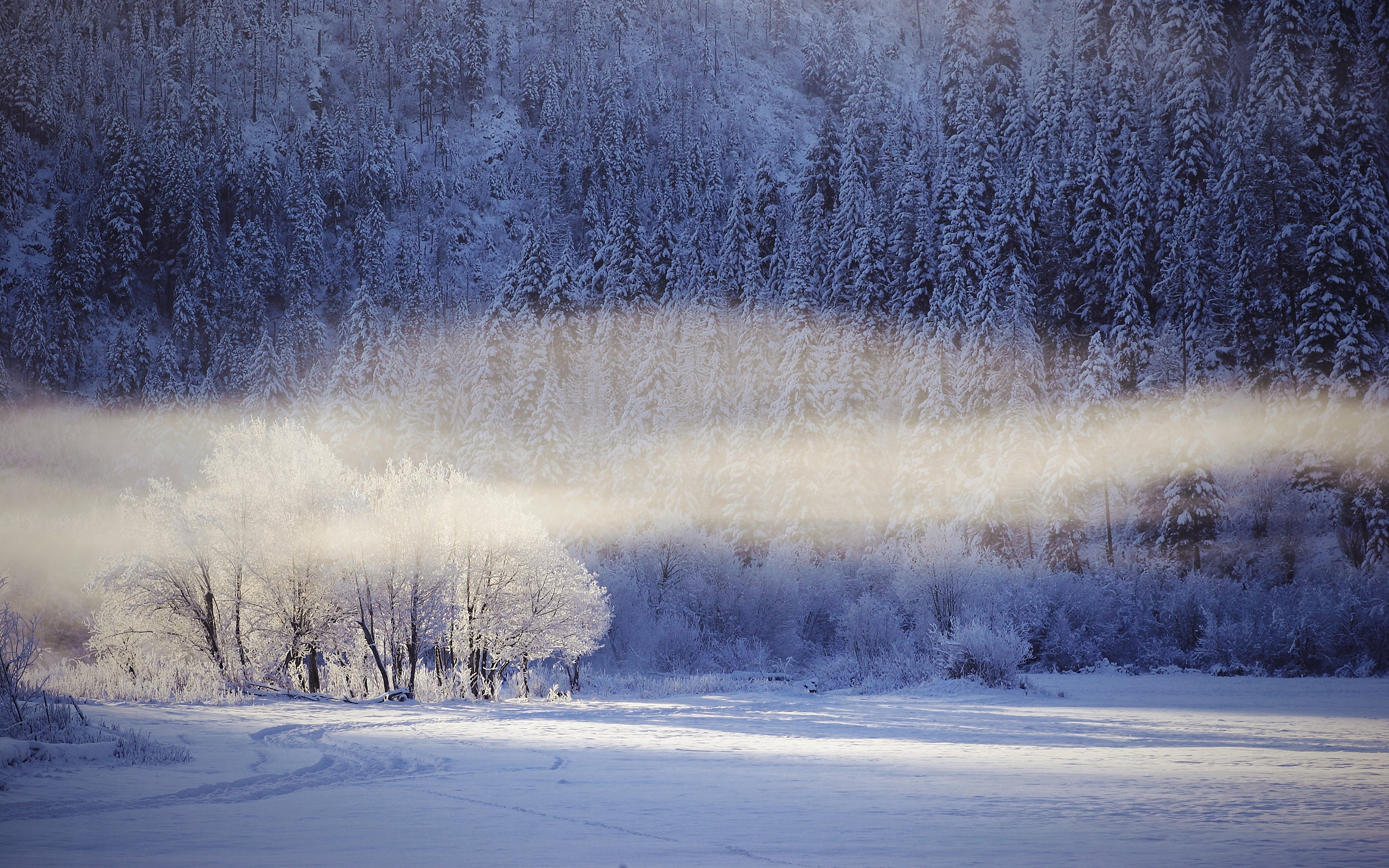 Oymyakon Winter Wallpapers Wallpaper Cave
