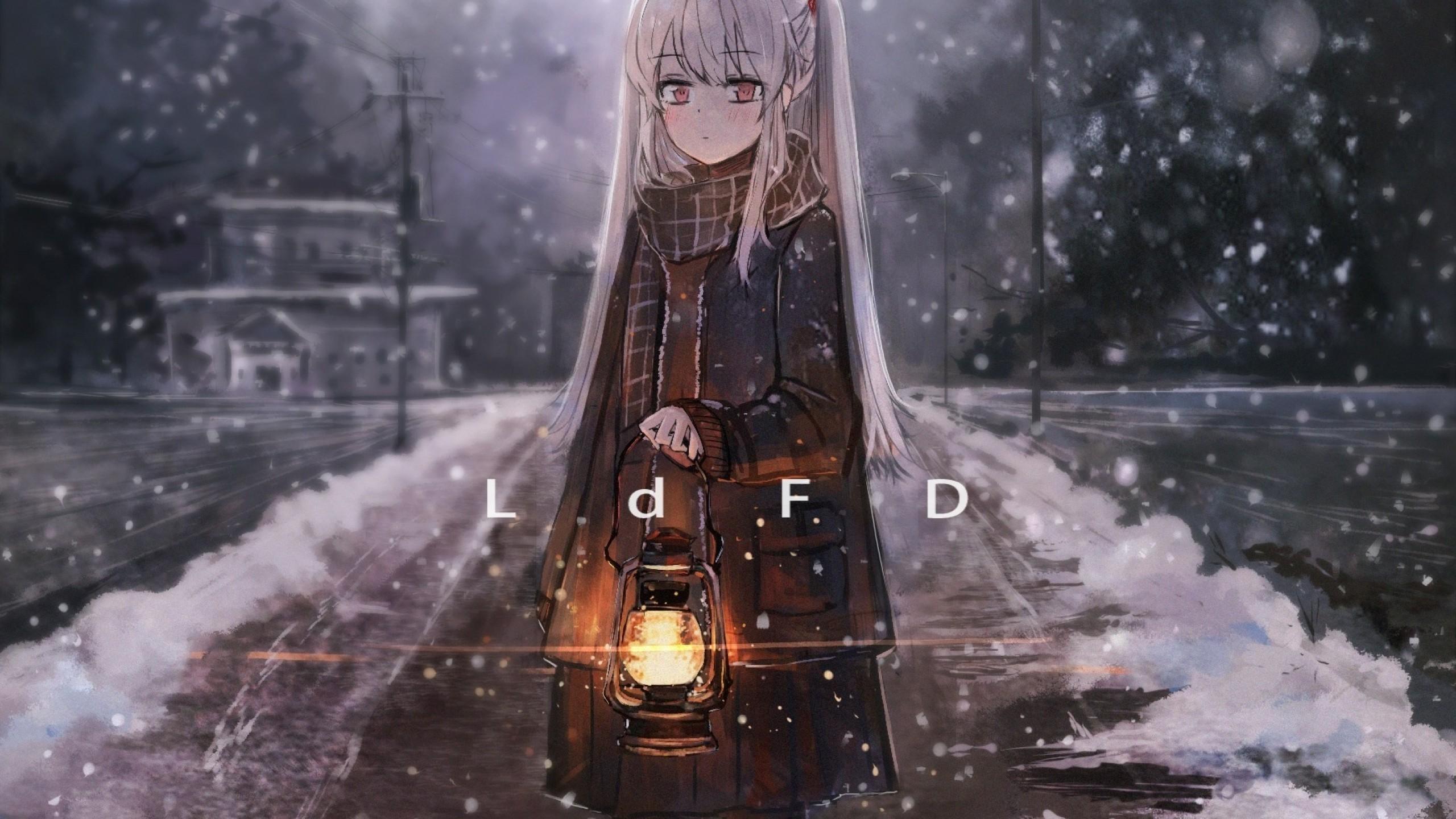 Download 2560x1440 Anime Girl, Lantern, Snow, White Hair