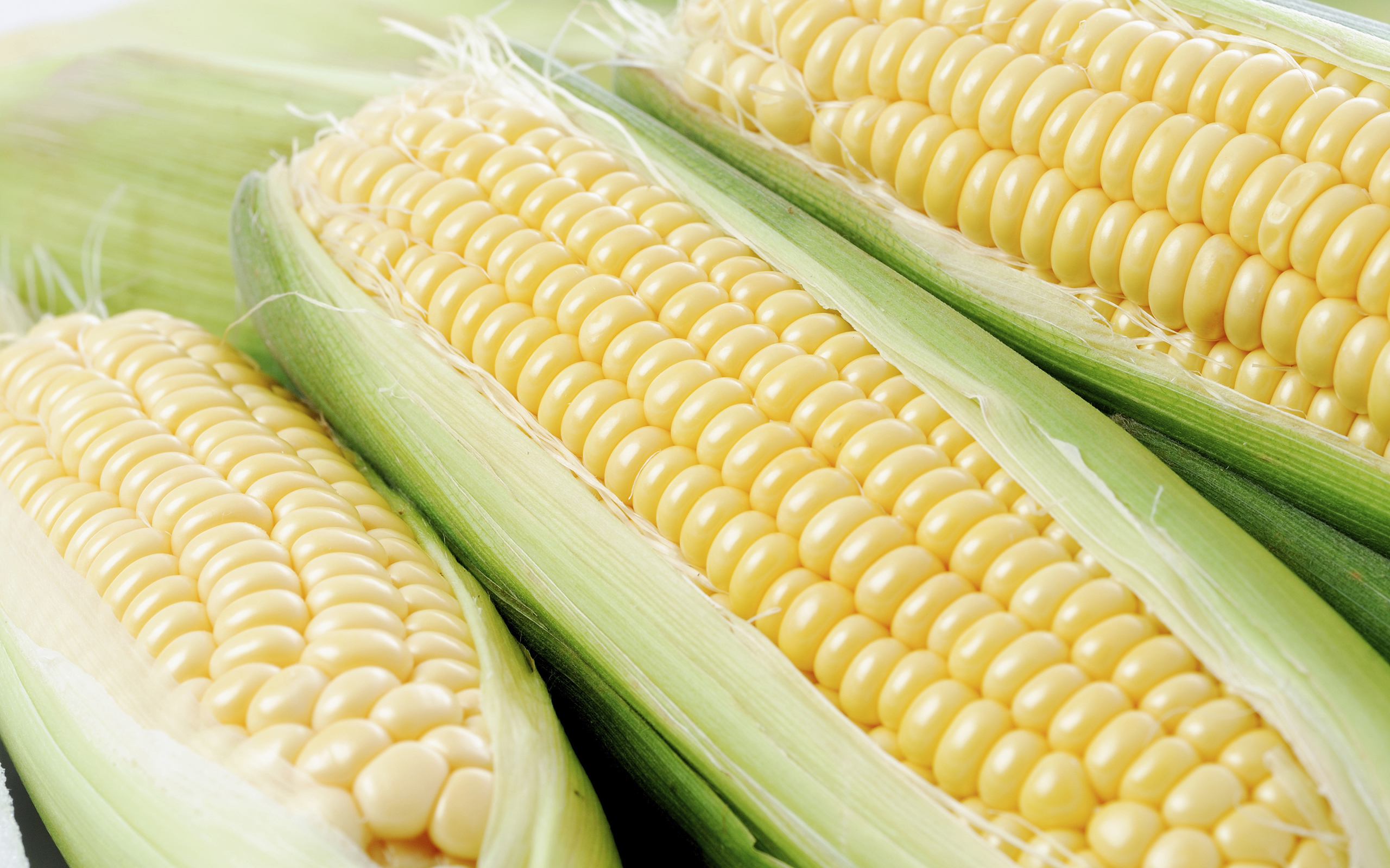 Top HDQ Cute Corn Image, Wallpaper MDV91 Collection