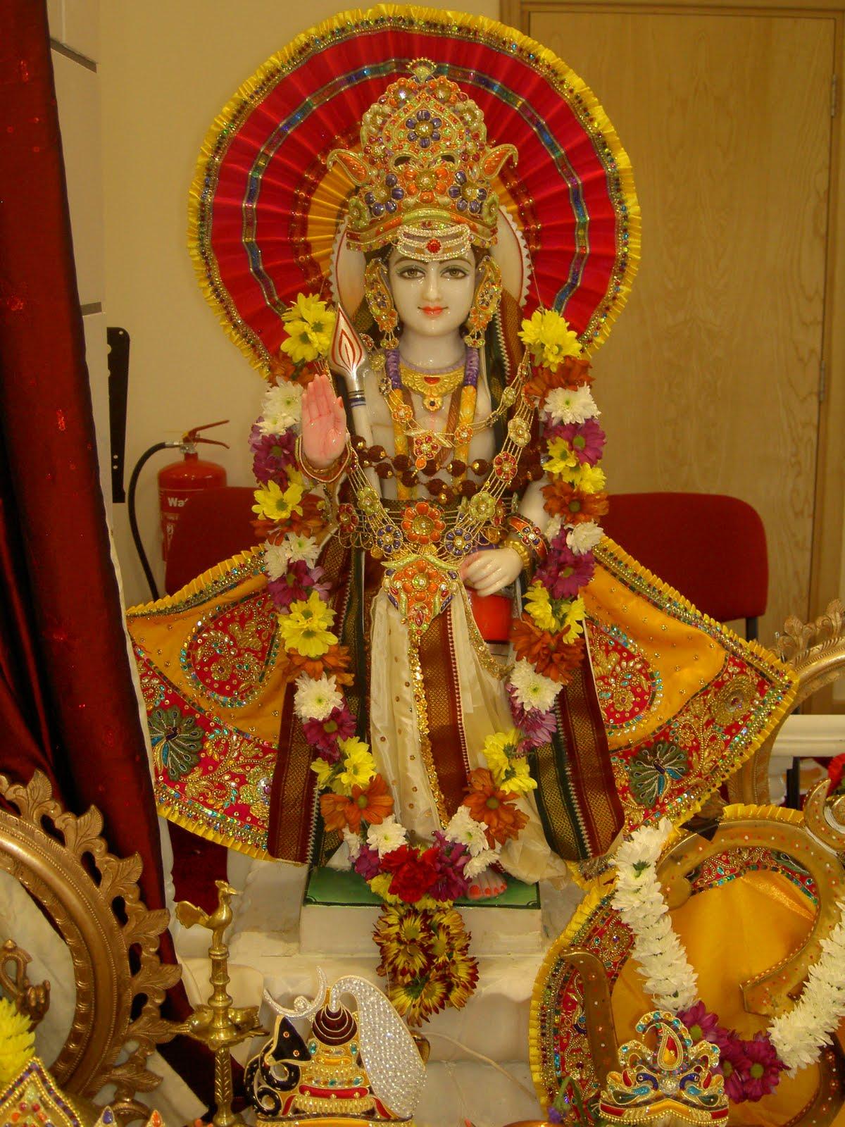 Hanging out in the beautiful Pacific Northwest: muruga