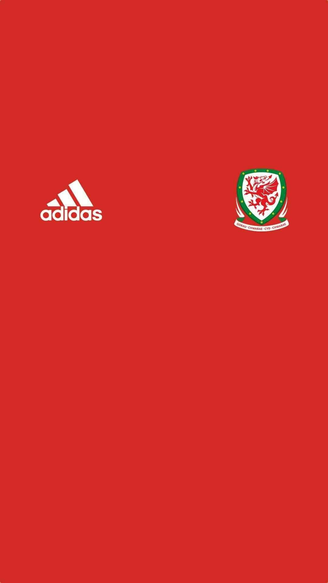 Welsh Flag Wallpaper