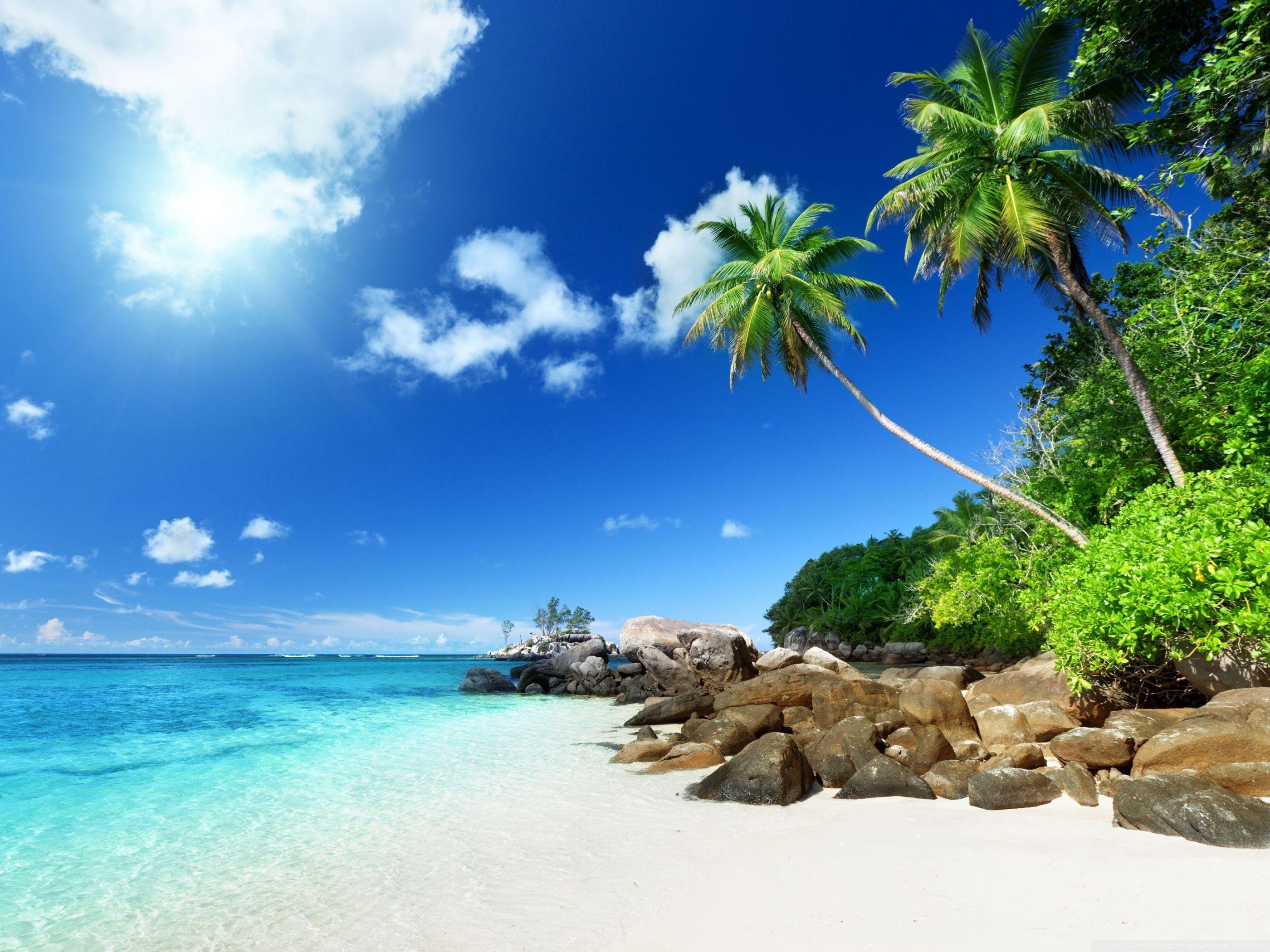 Paradise Beach Wallpapers
