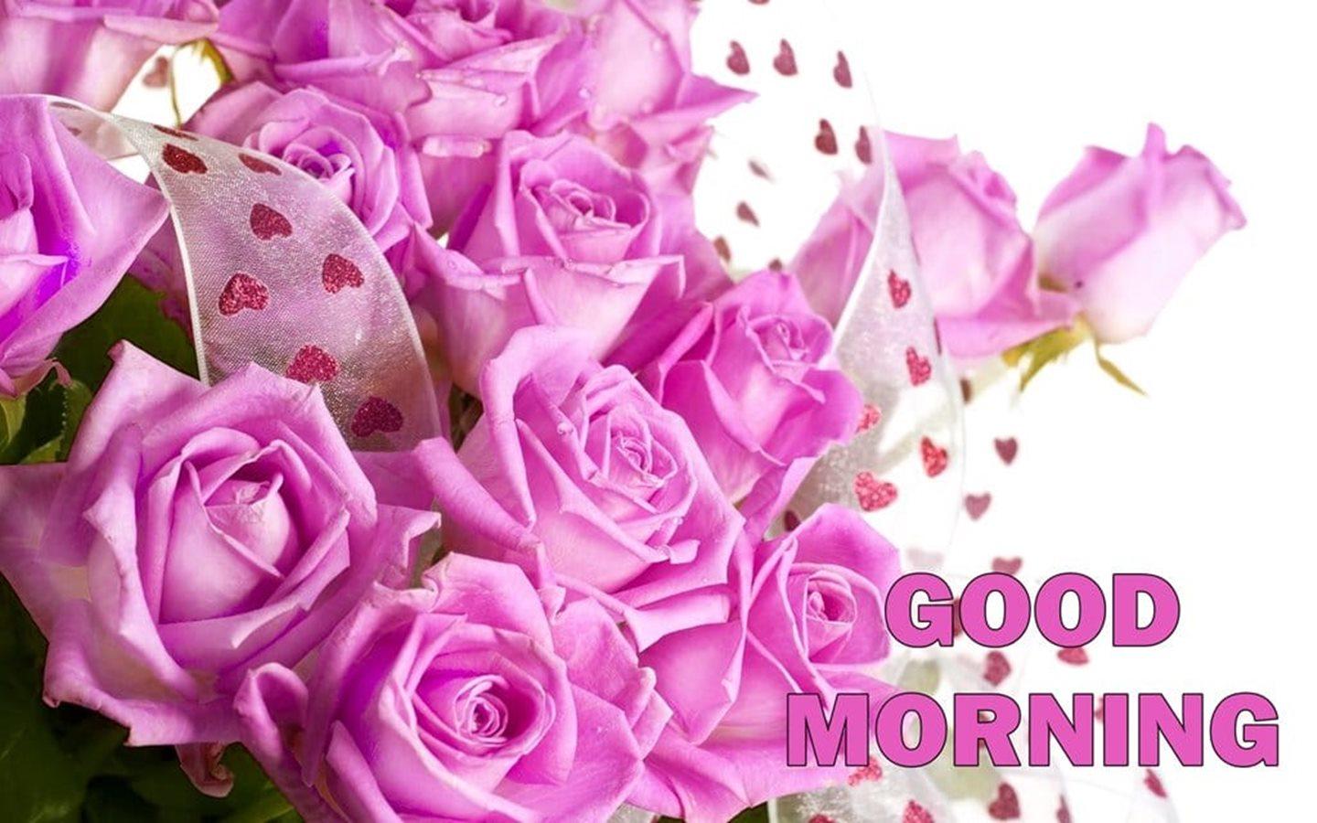 Good Morning Beautiful Pink Roses Bucket HD Wallpaper
