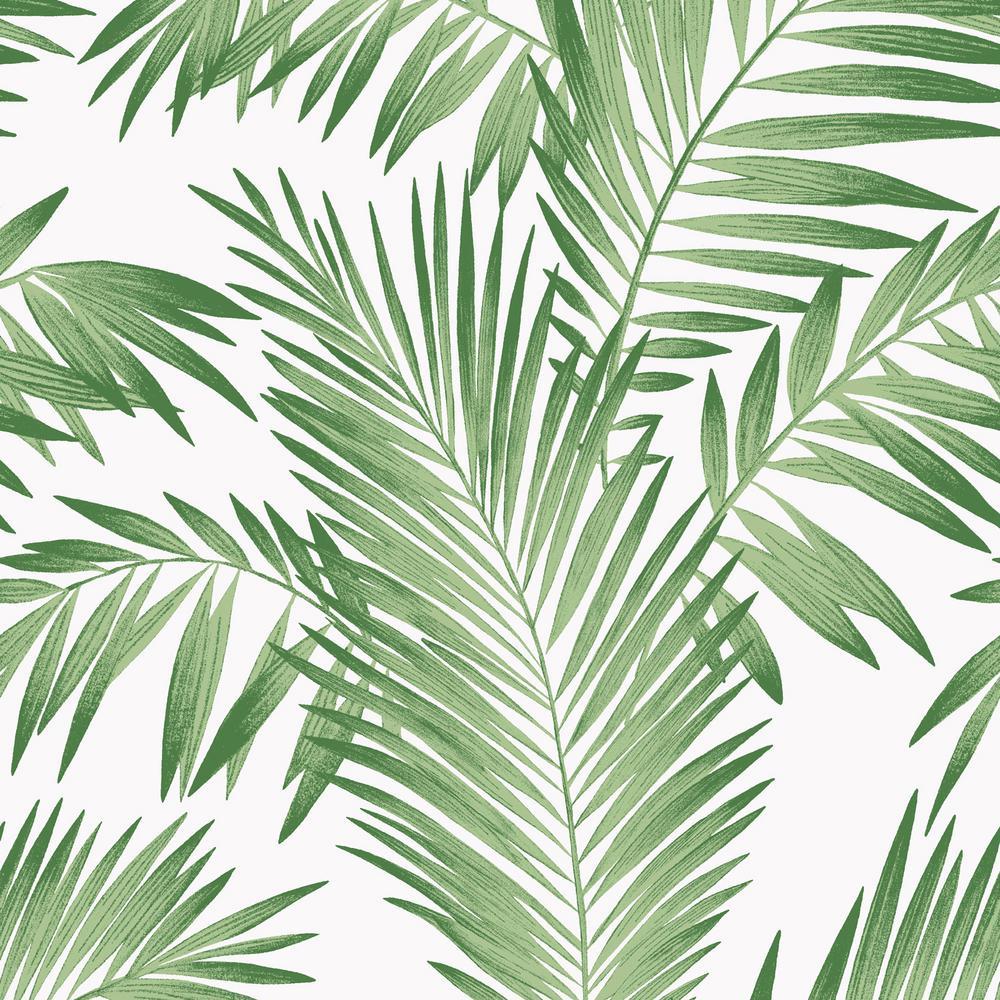 Tropical Palm Green Wallpaper Leaves Aesthetic Background