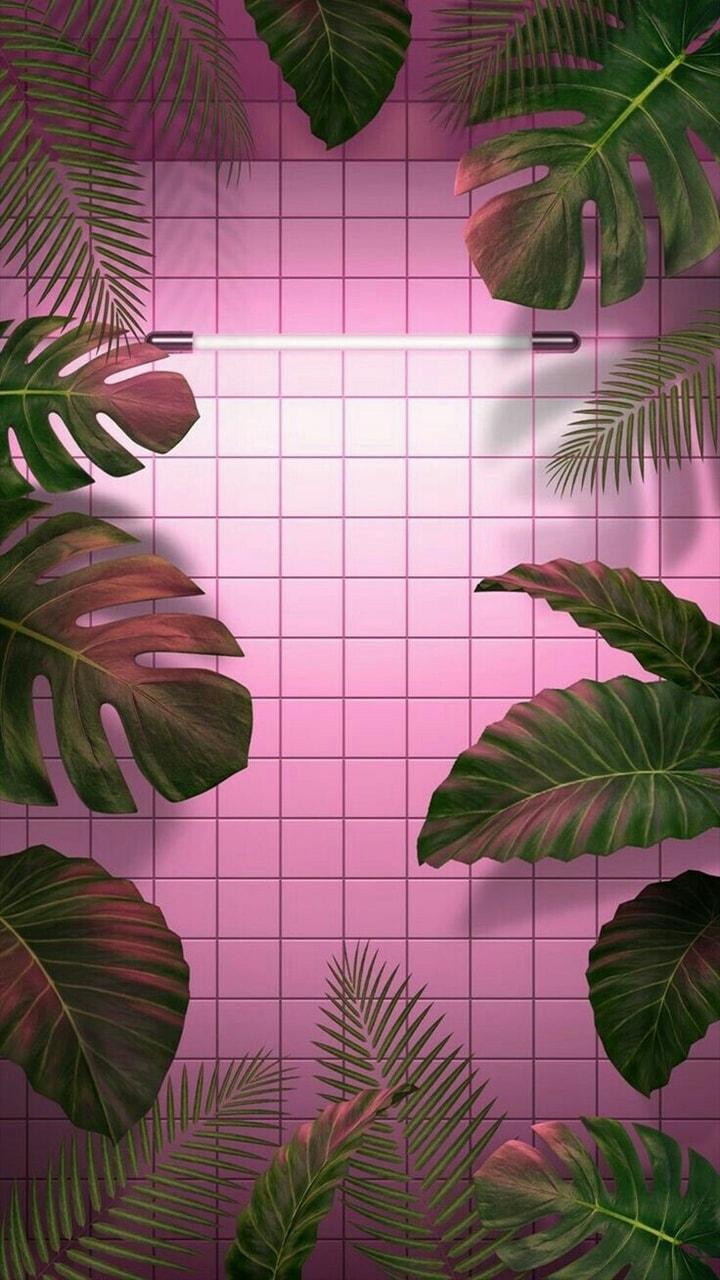 wallpaper, pink, and leaves image