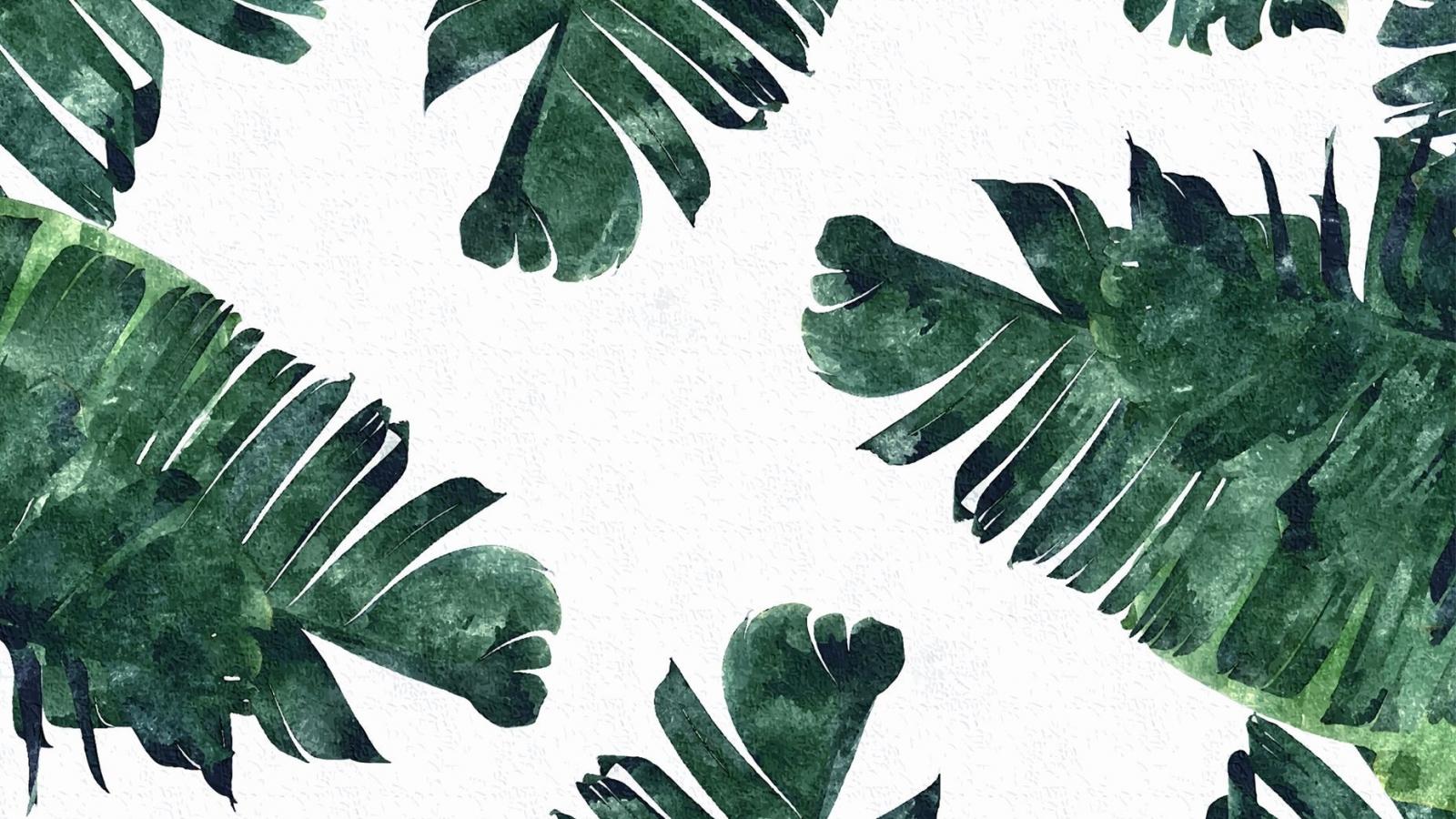 Free download 50 Tropical Leaves Desktop Wallpaper Download