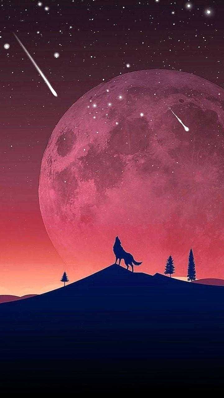 Best Wolf Wallpapers For Mobile Phone