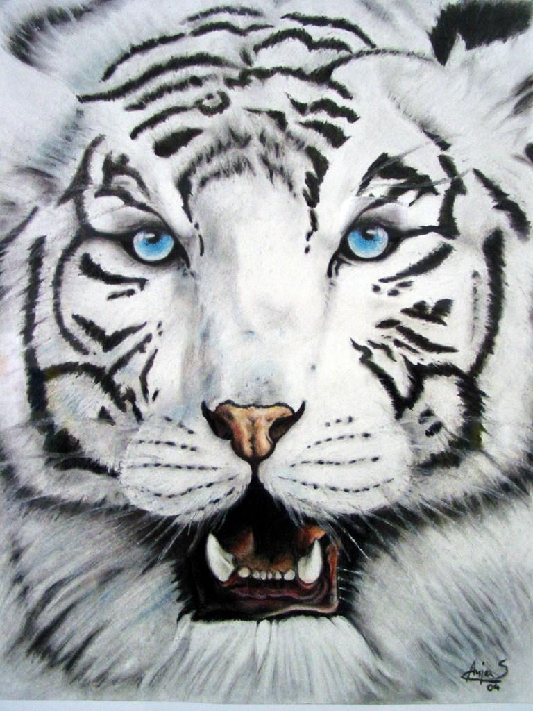 White Tiger iPhone HD Wallpaper