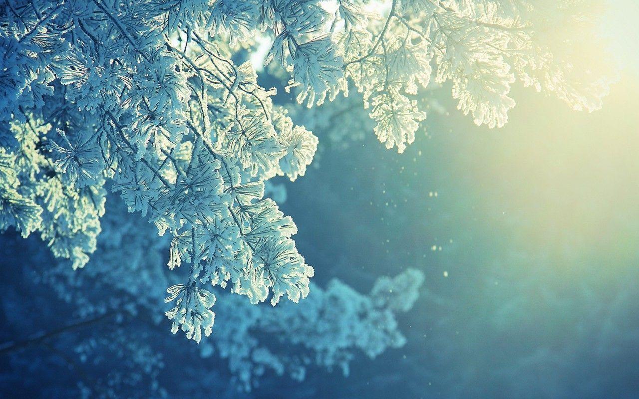 Frost Wallpaper Free Frost Background