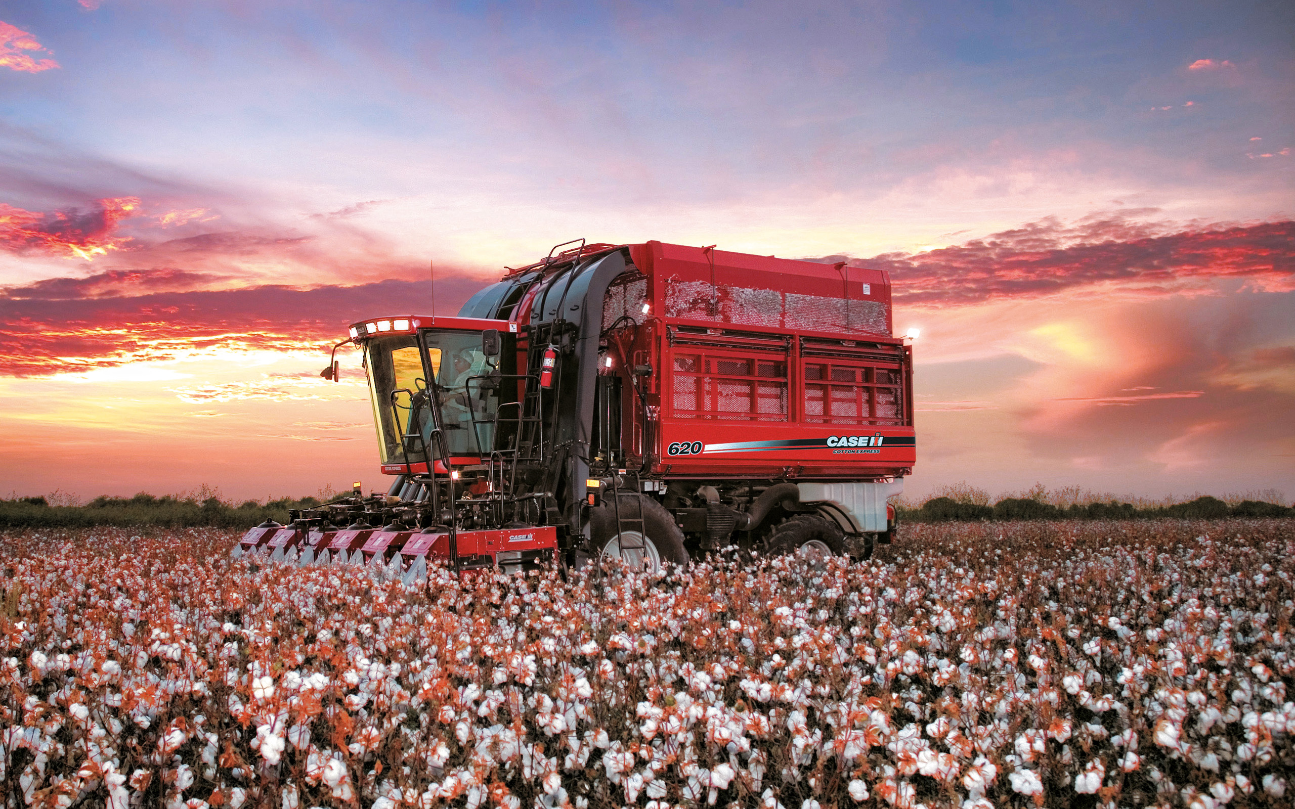 Download wallpaper Case IH Cotton Express, cotton harvest