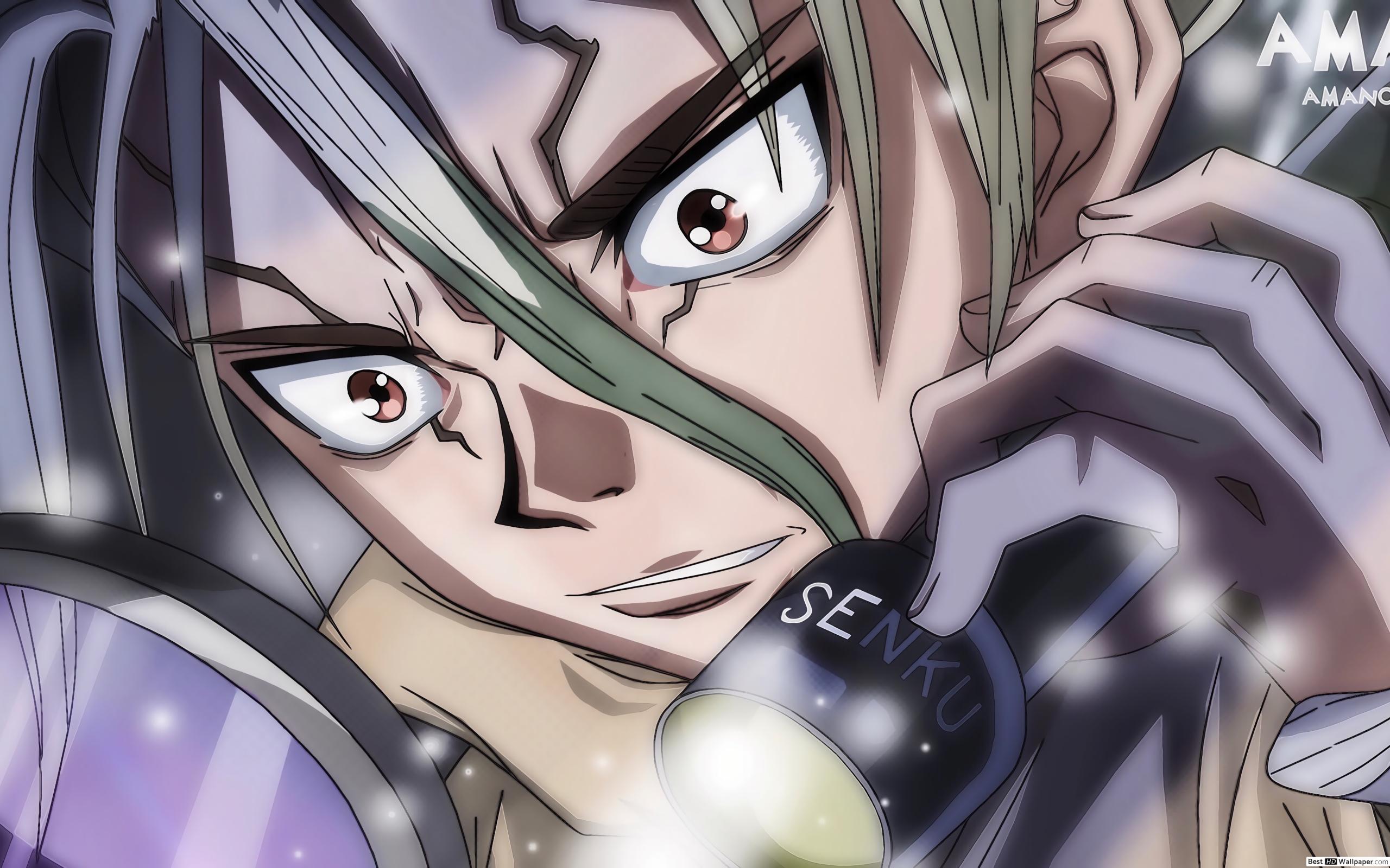 Dr. Stone Anime Ishigami HD wallpaper download