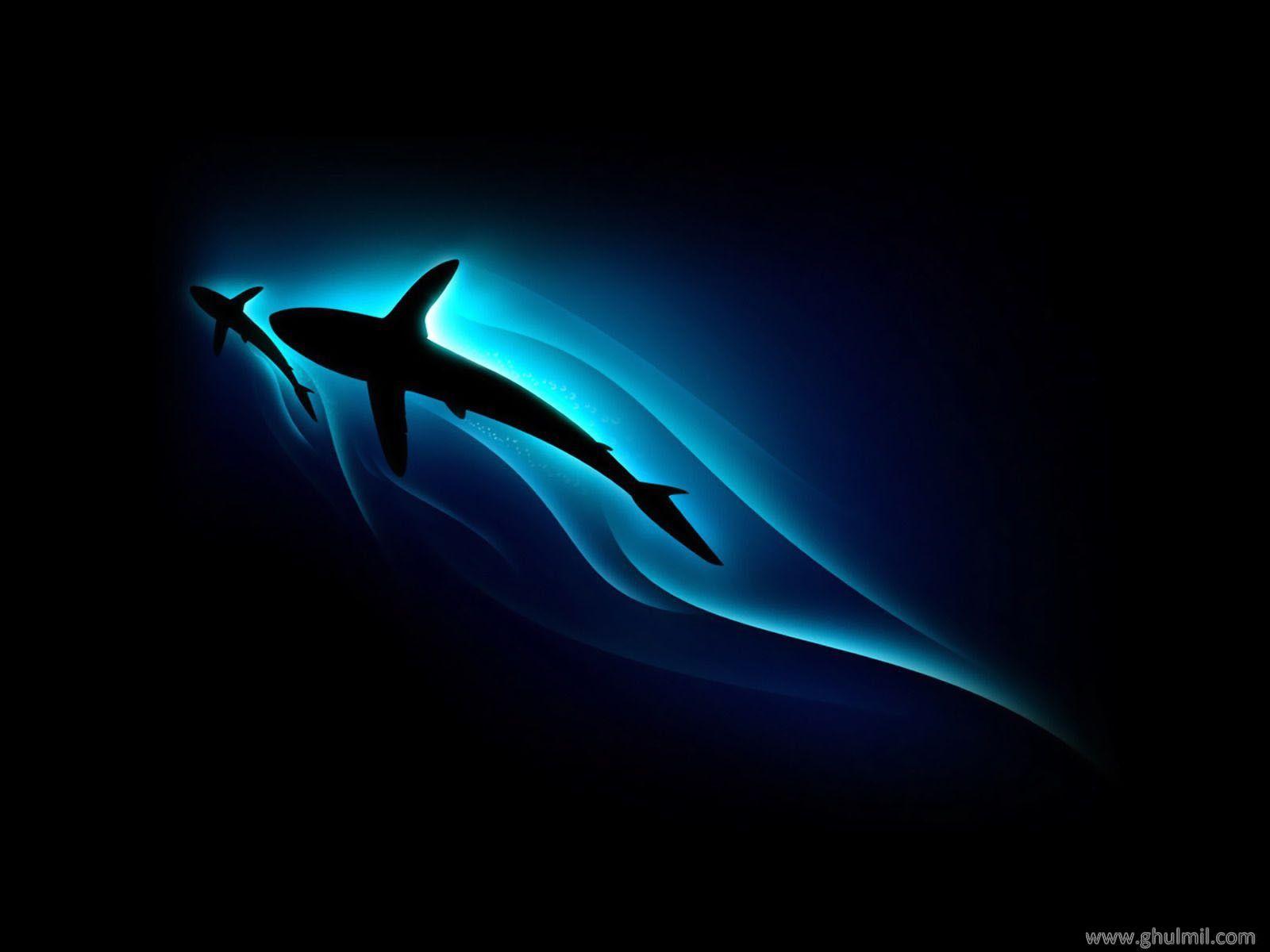 shark attack art background high definition amazing cool