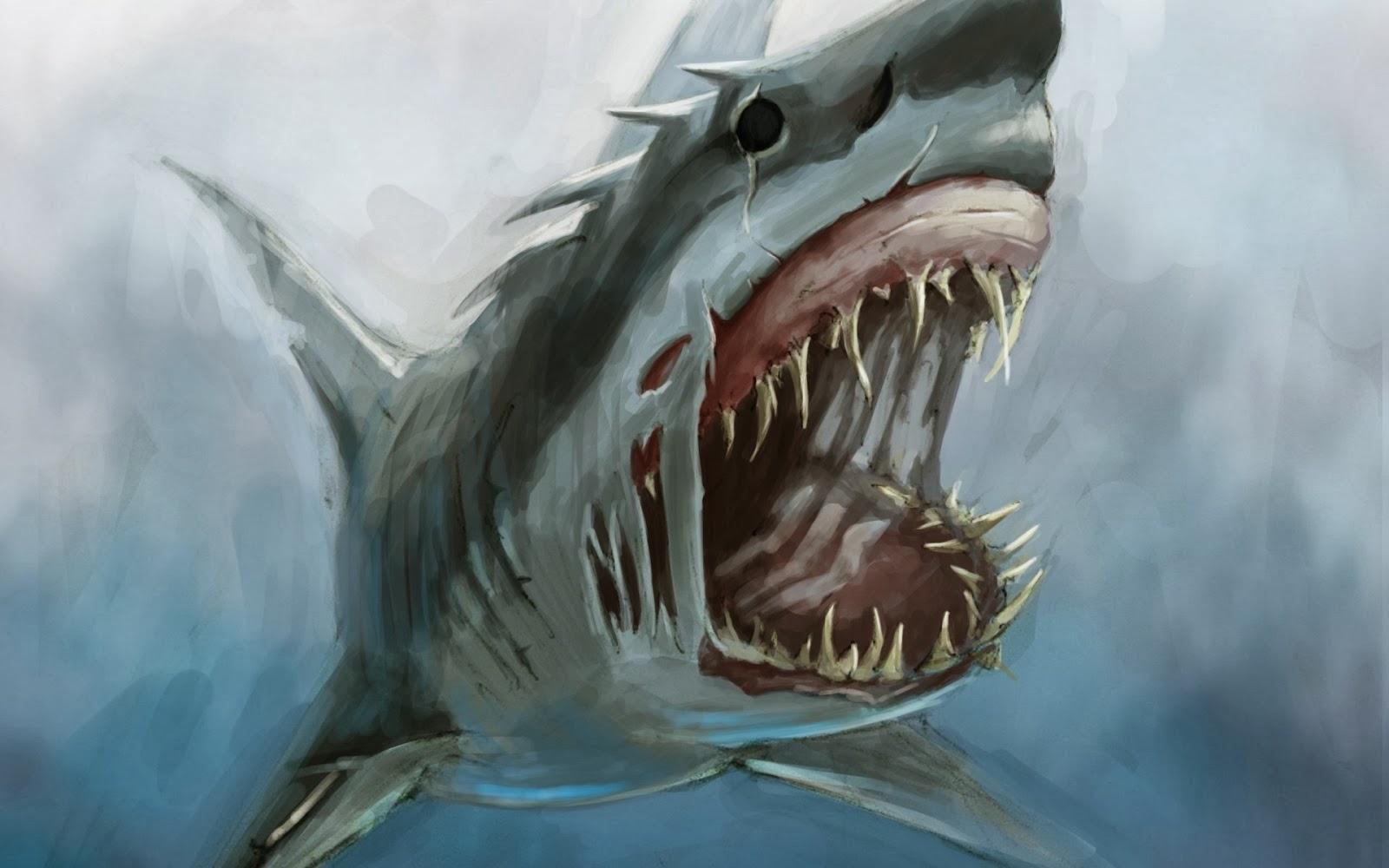 MPR1616: Cool Shark Background In High Quality, BsnSCB Gallery
