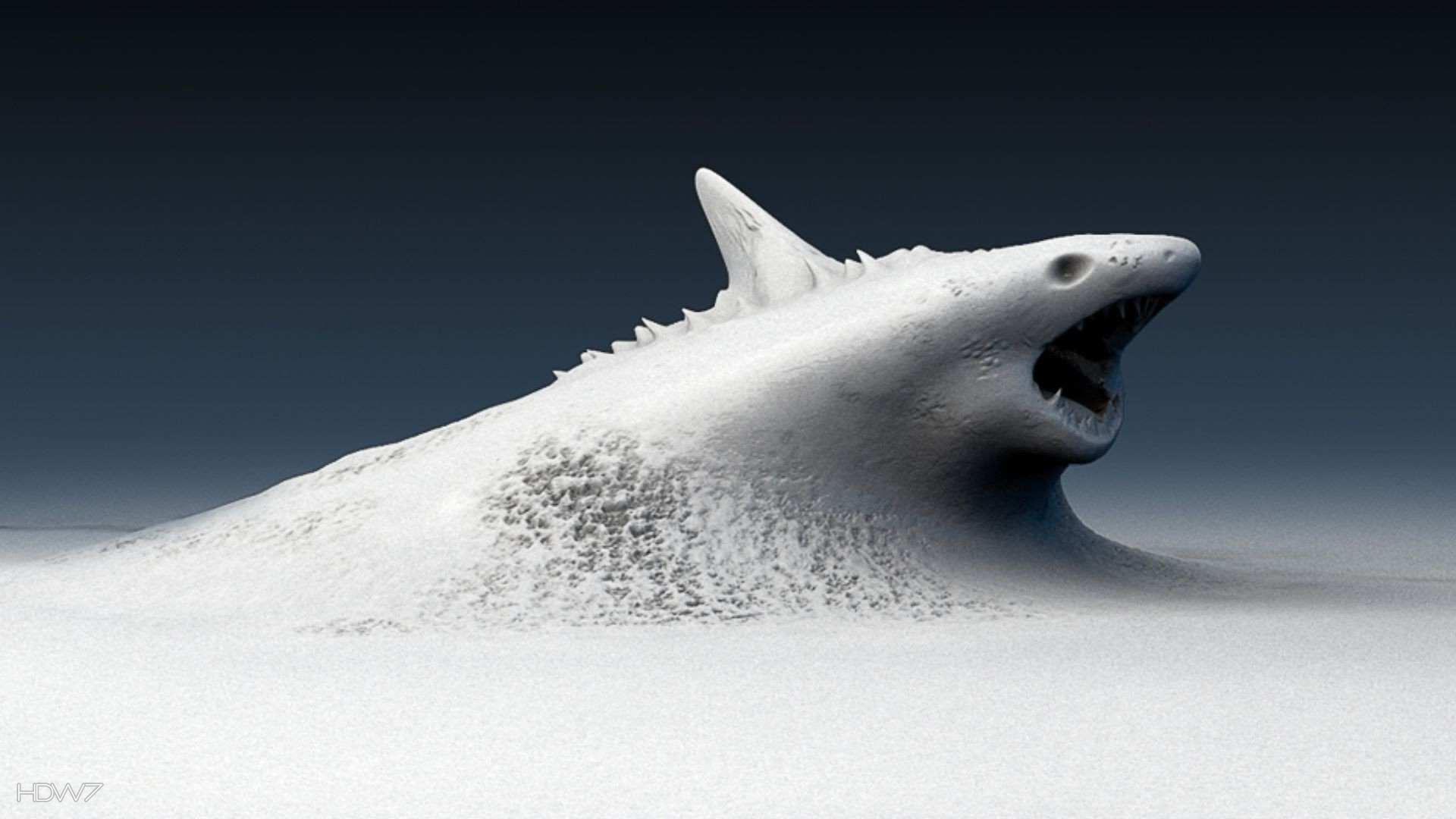 snow shark wallpaper. HD wallpaper gallery