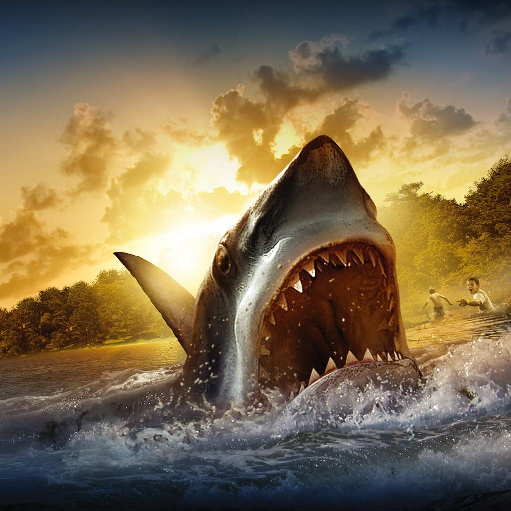 Shark Animal View More Attack iPad Category Animals