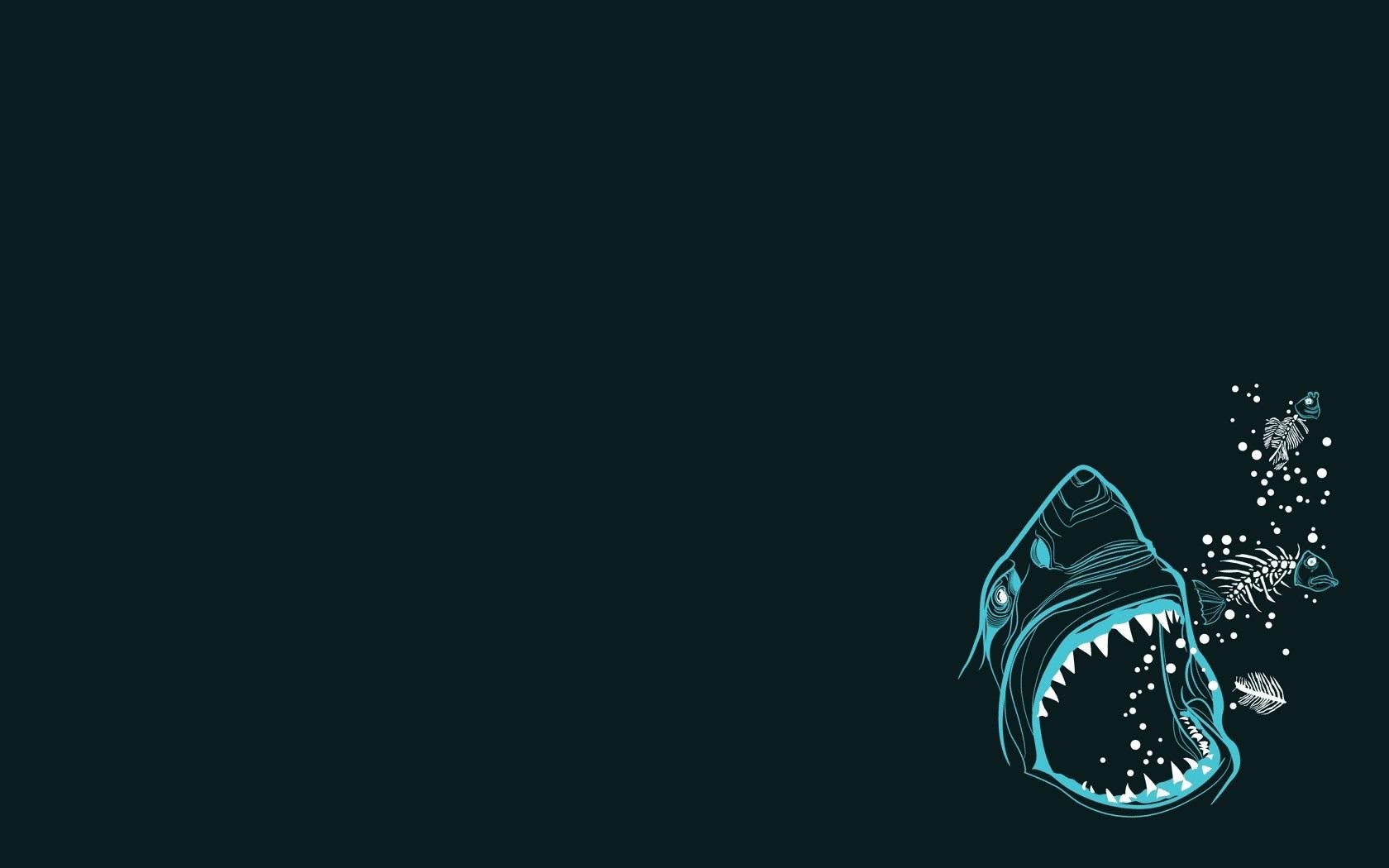 shark download latest wallpaper for pc. Artistic