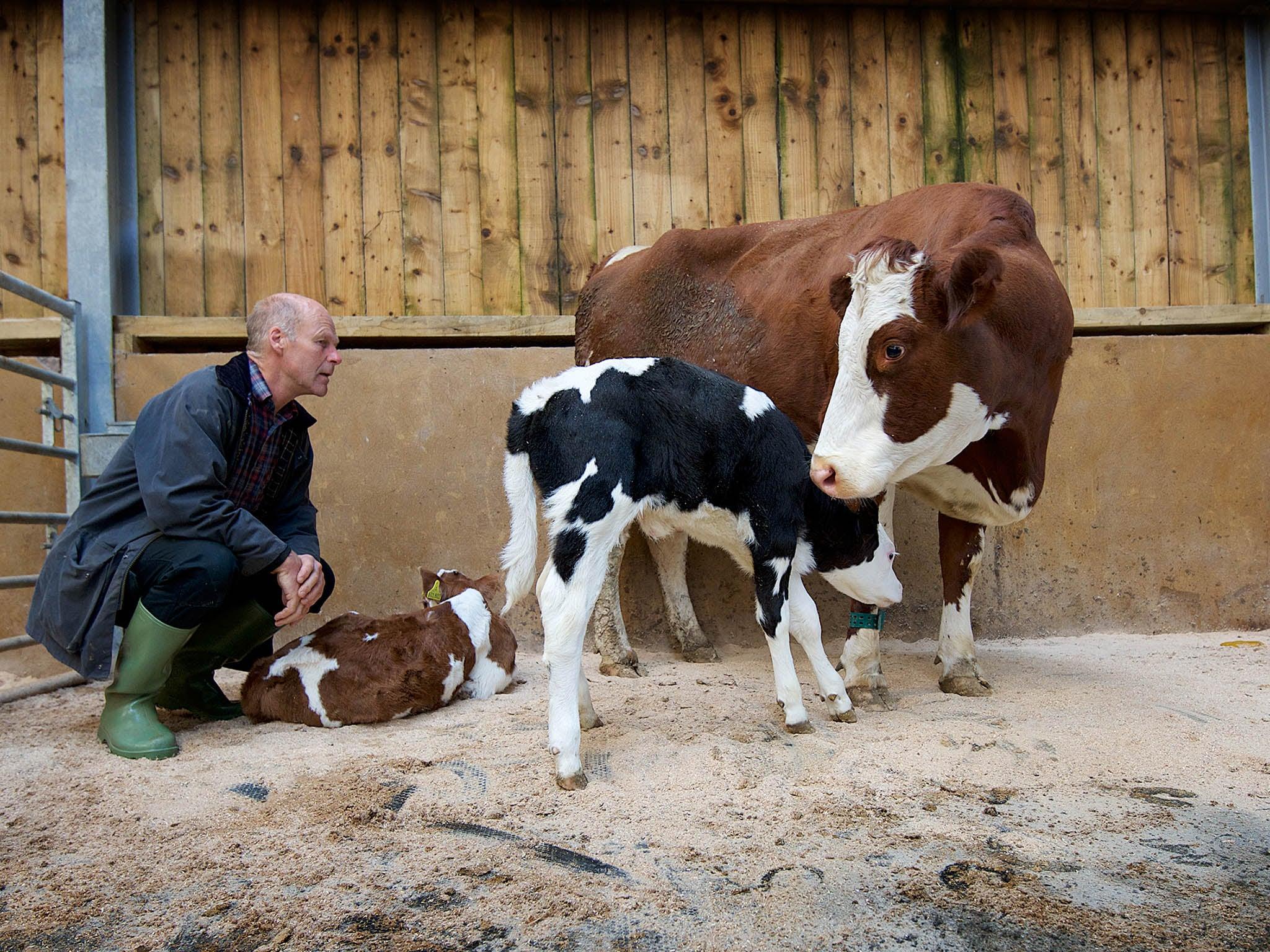 Meet the farmers on a mission to make ethical dairy products