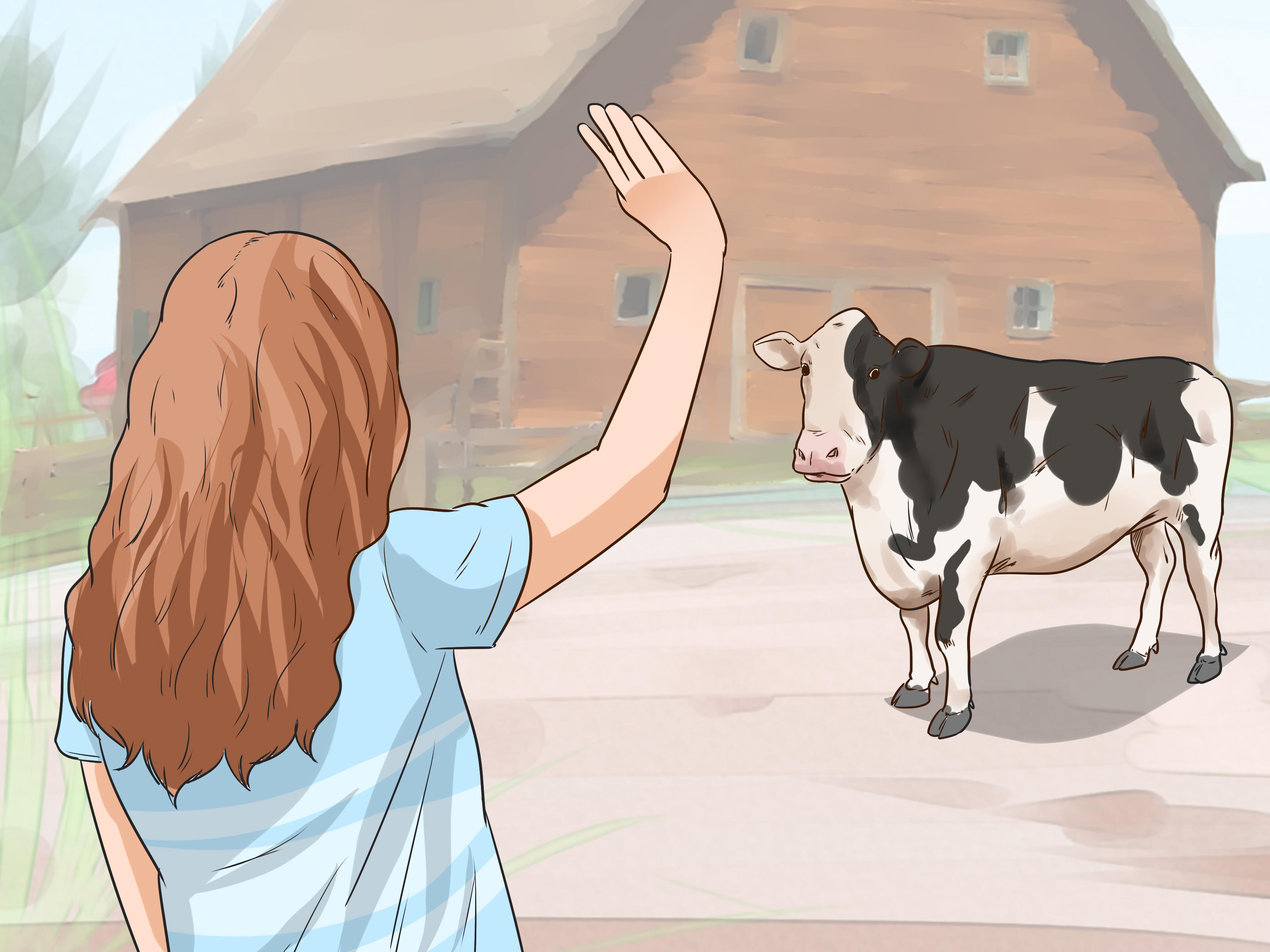 How to Raise Calves (with Picture)