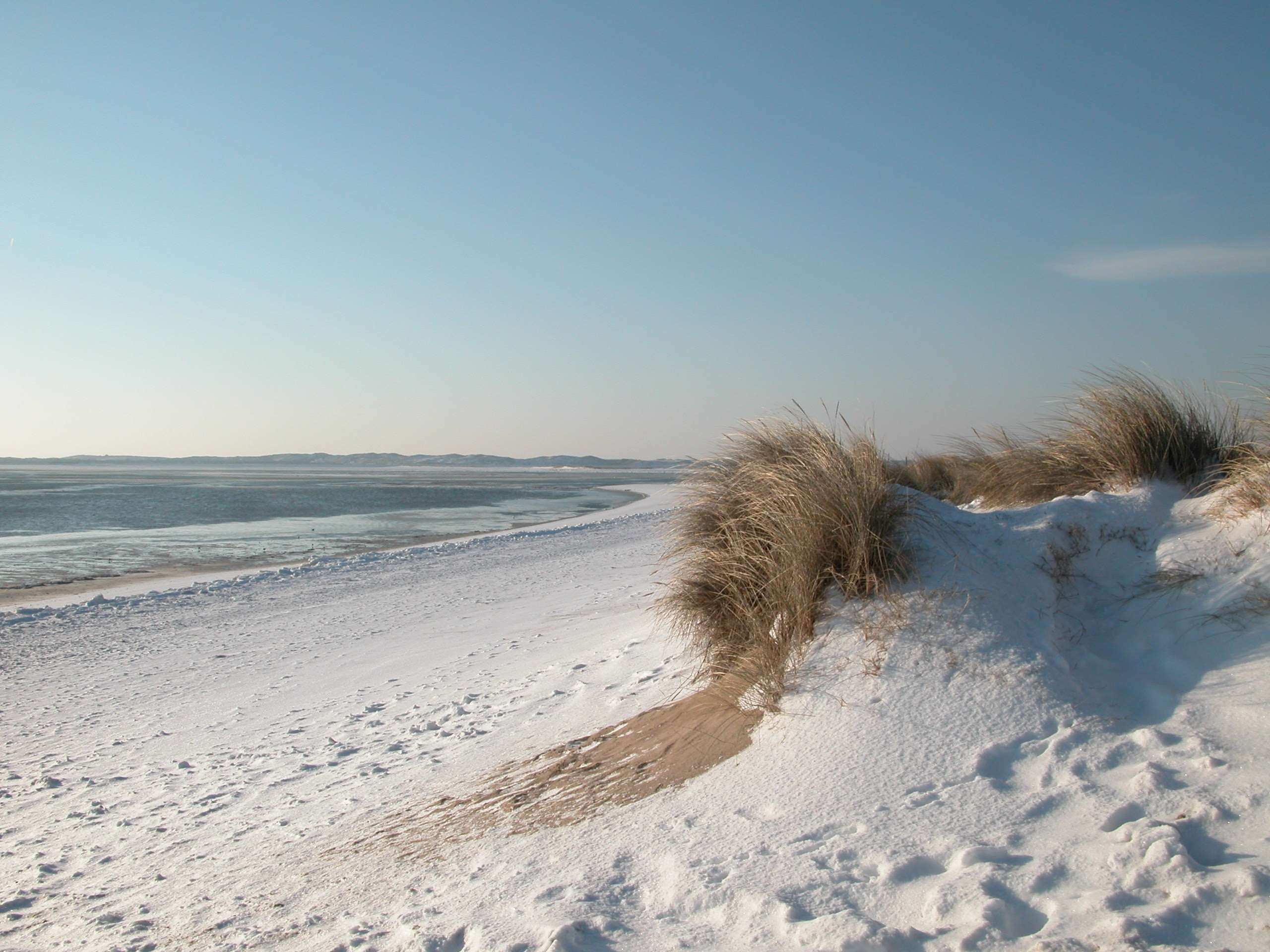 beach winter snow wallpaper