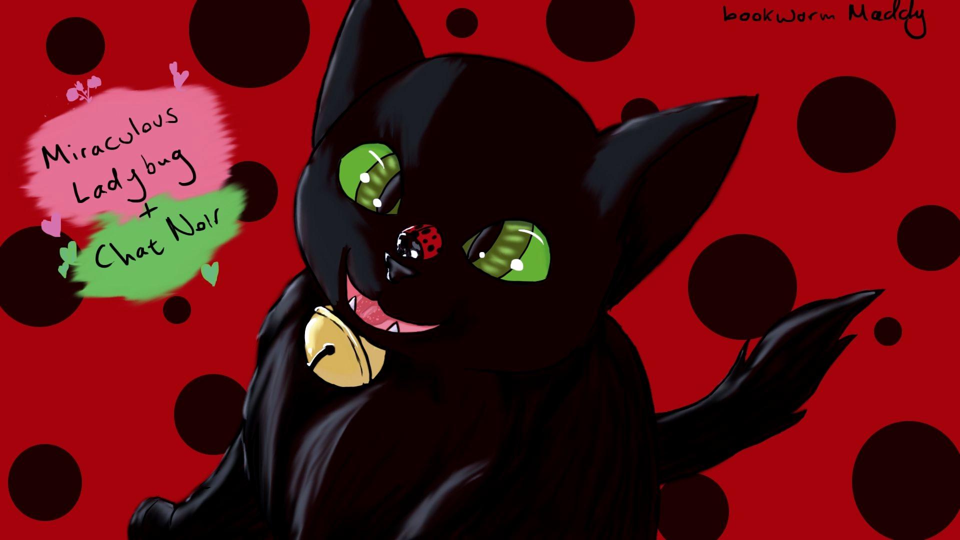 Ladybug and Cat Noir Wallpaper Lovely Miraculous Tales