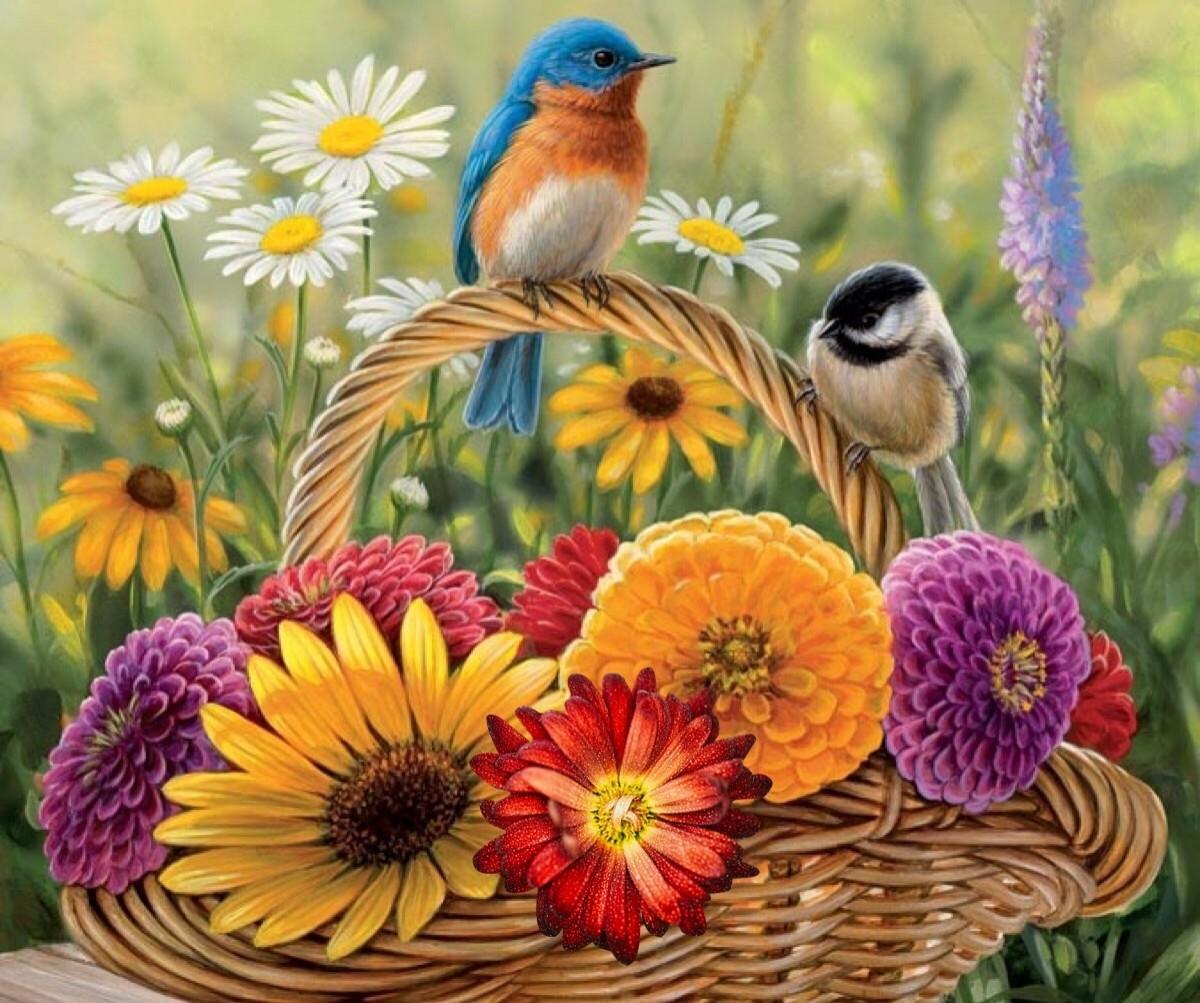 Fall Flowers And Birds Wallpaper