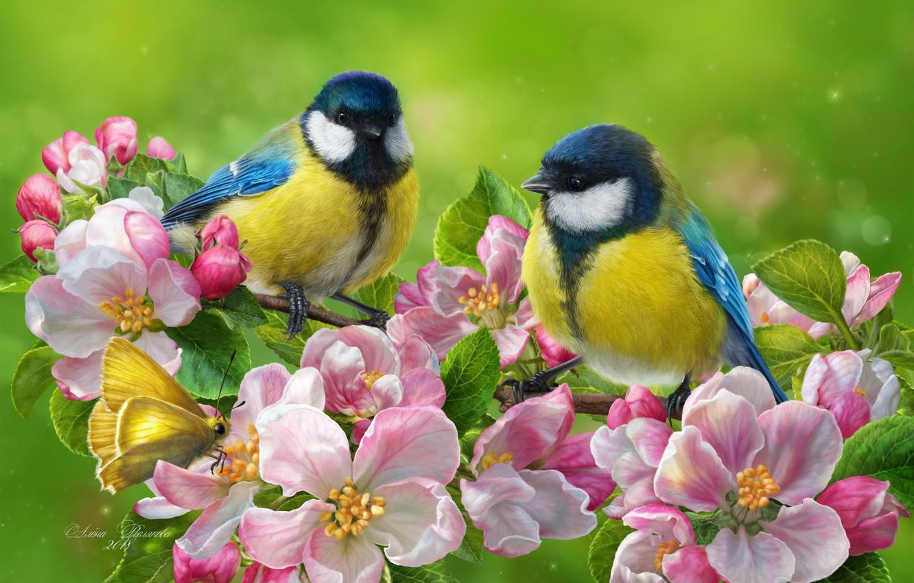 Flowers And Birds Wallpapers Flowers And Birds Wallpapers